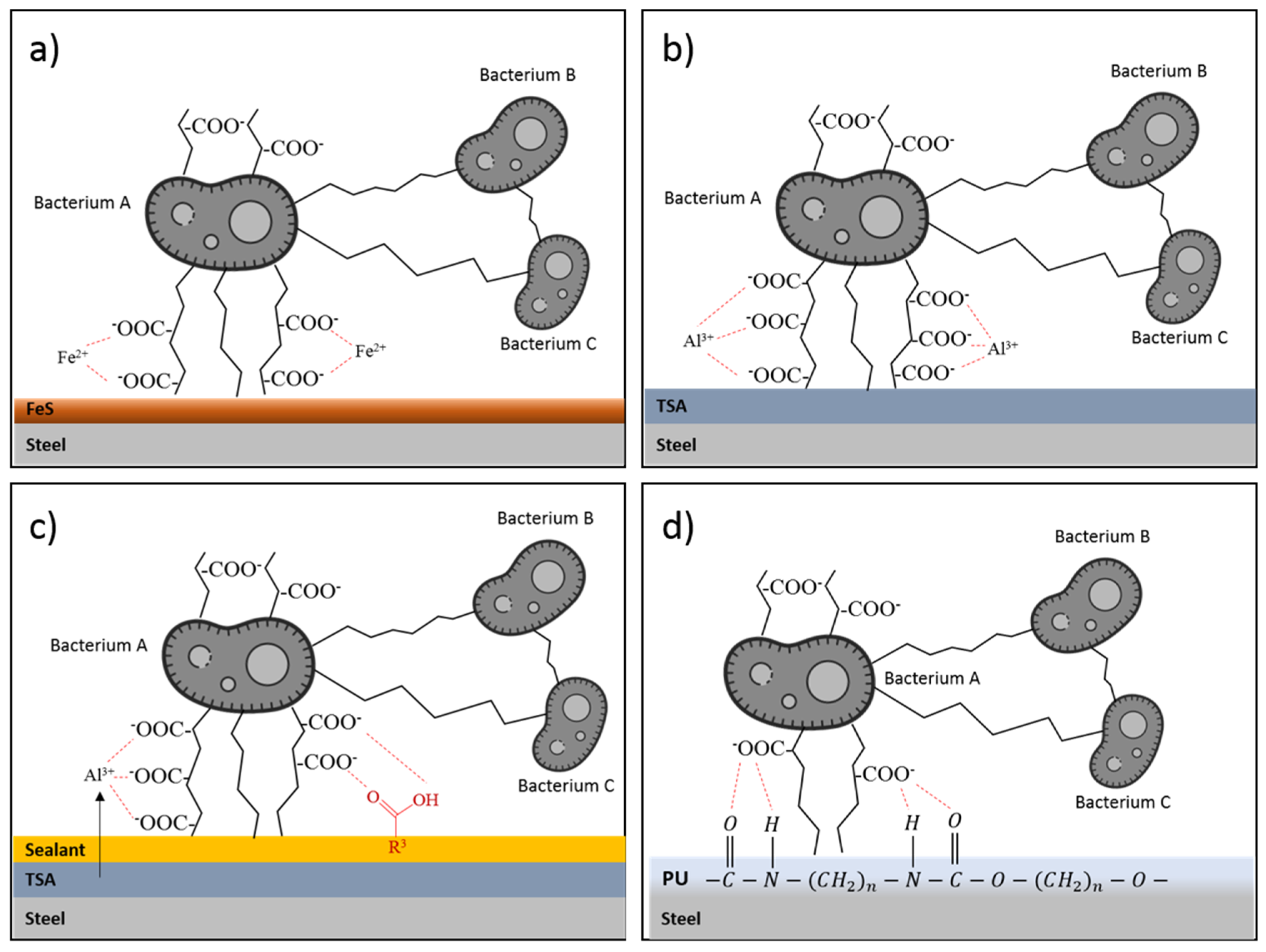 Crystals 14 00260 g008