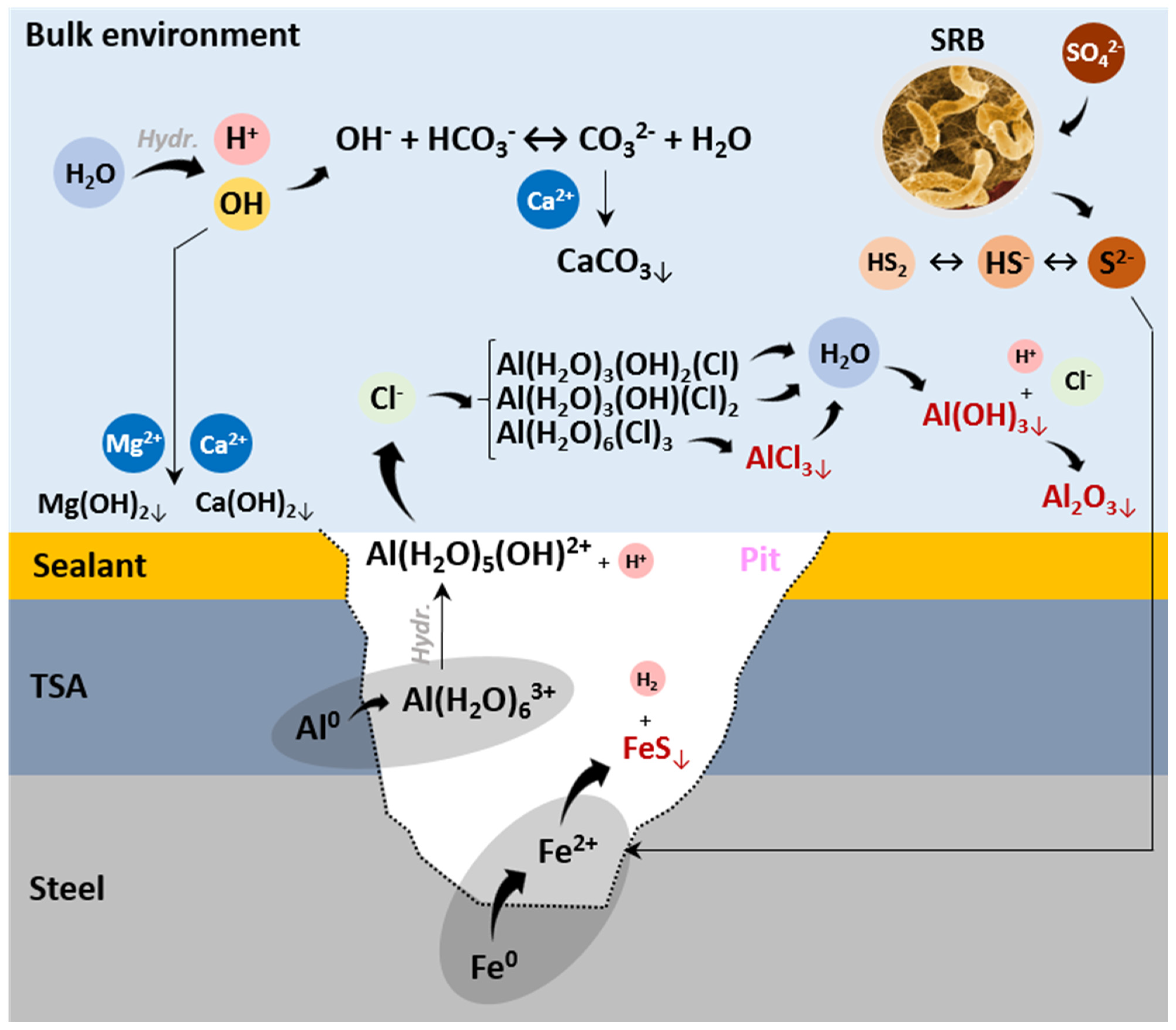 Crystals 14 00260 g009