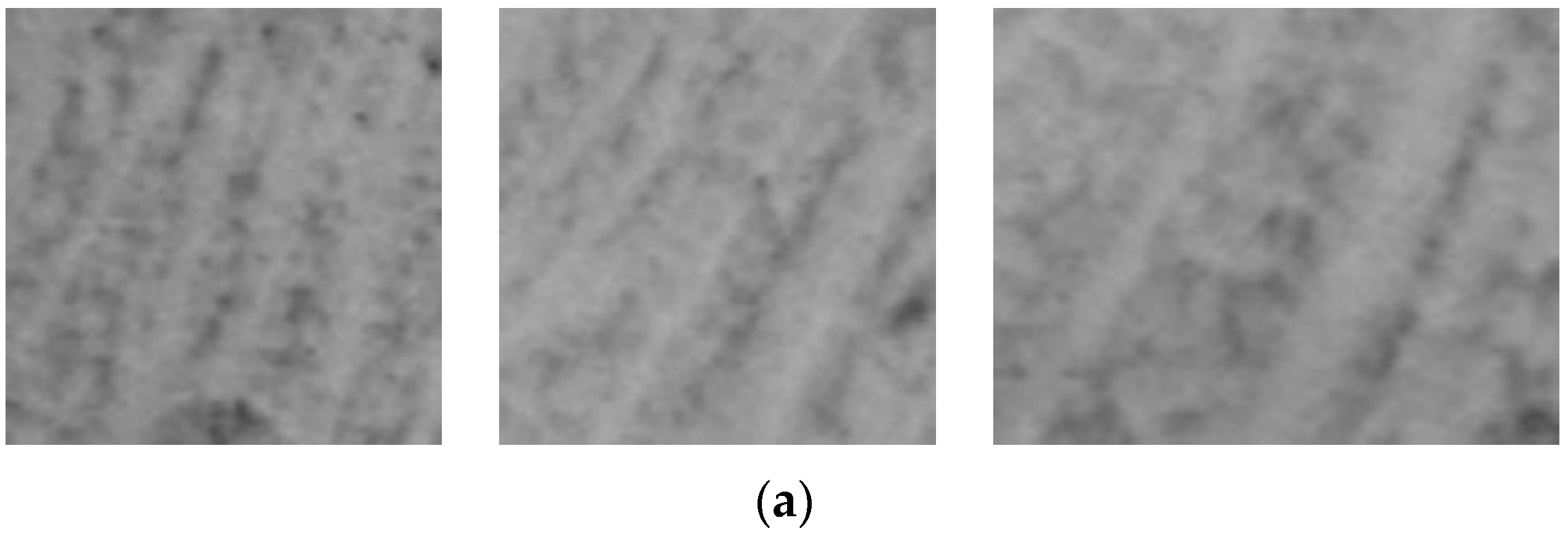 Crystals 14 00265 g011a