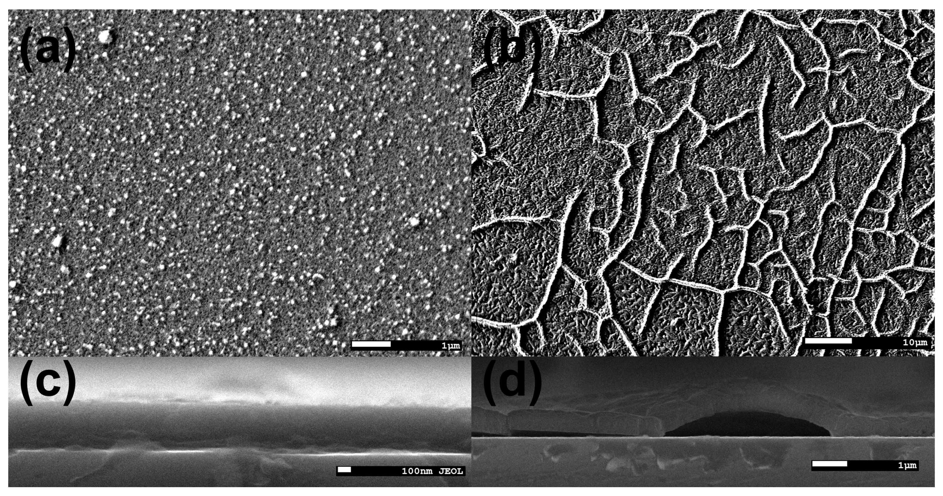 Crystals 14 00267 g005