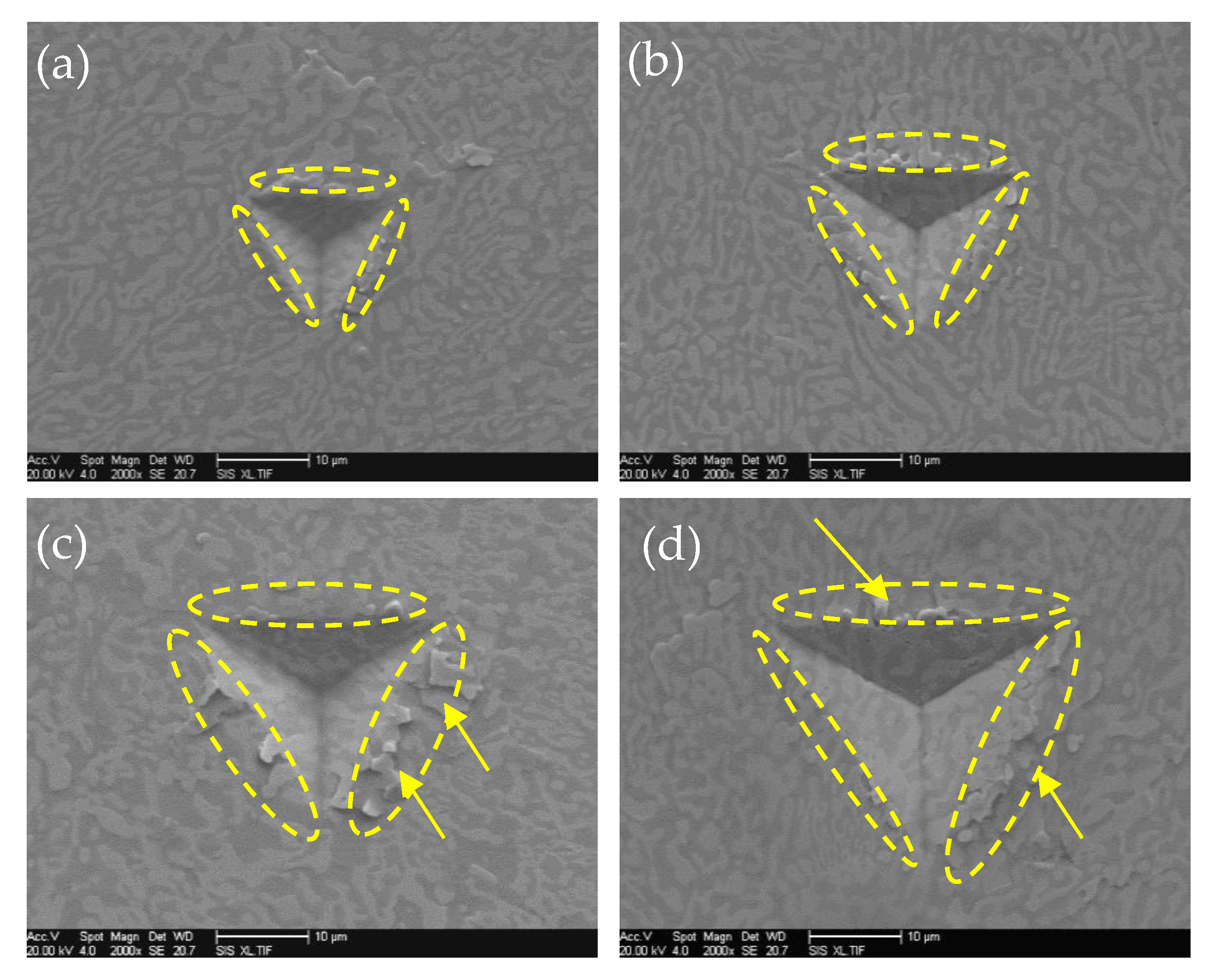 Crystals 14 00269 g009