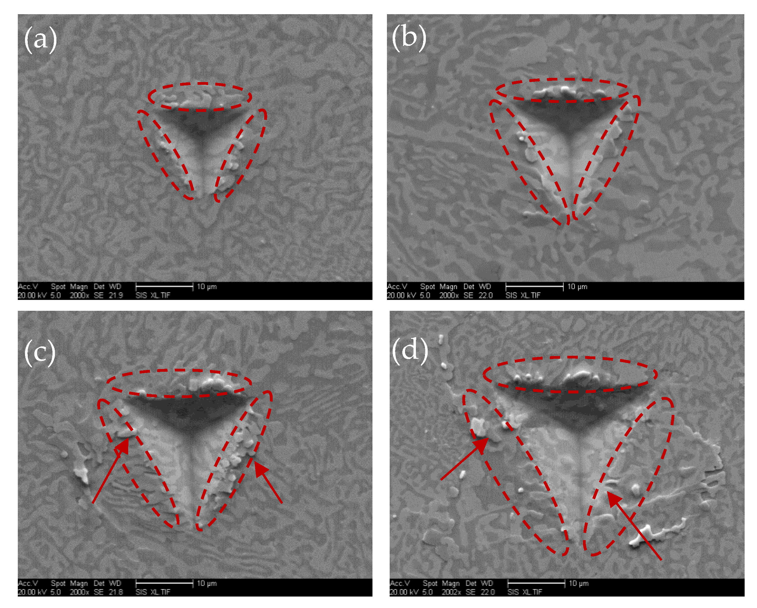 Crystals 14 00269 g010