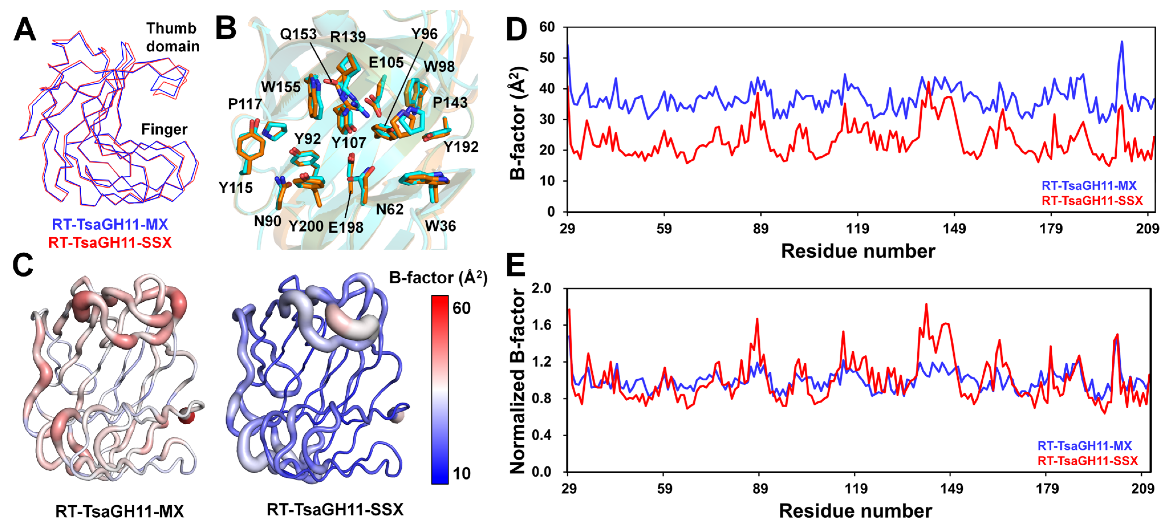 Crystals 14 00276 g003