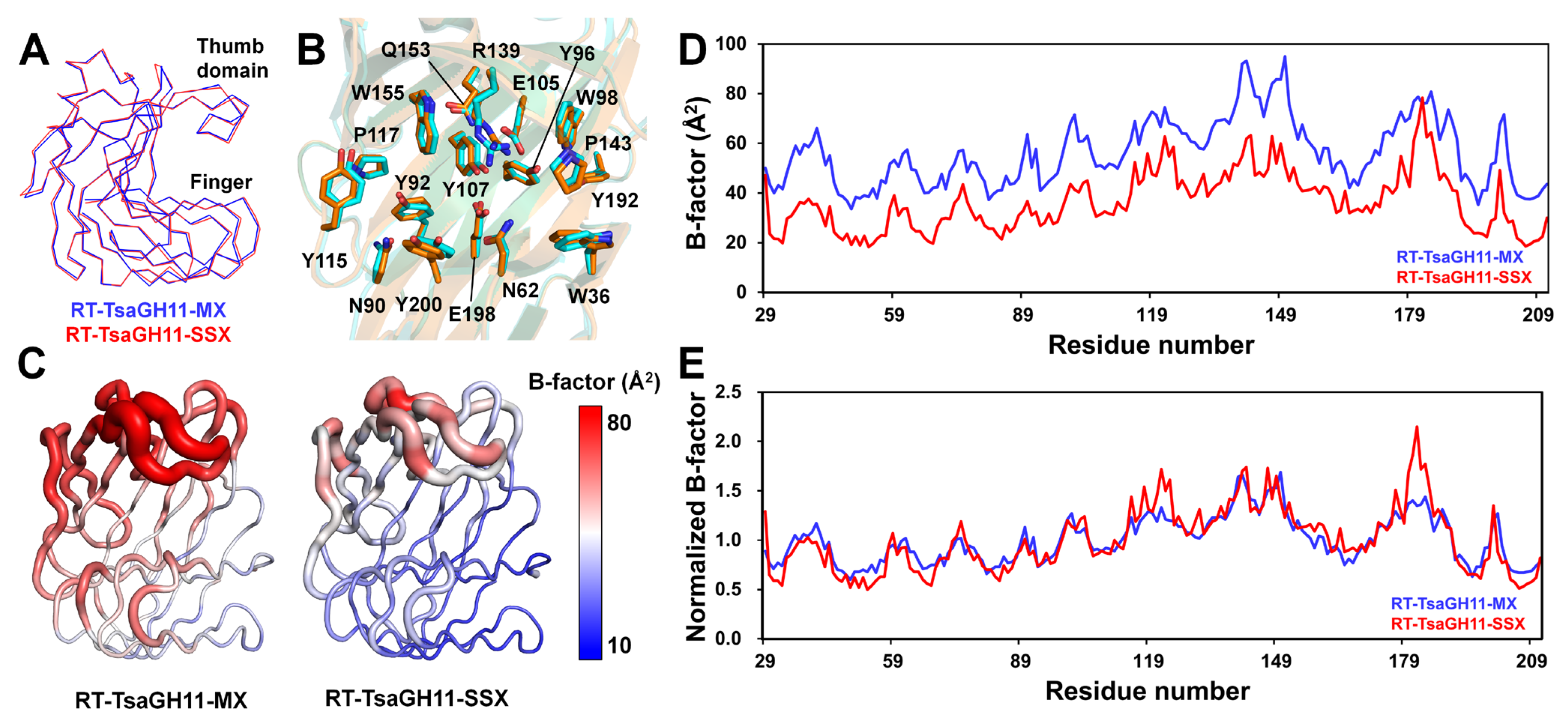 Crystals 14 00276 g004