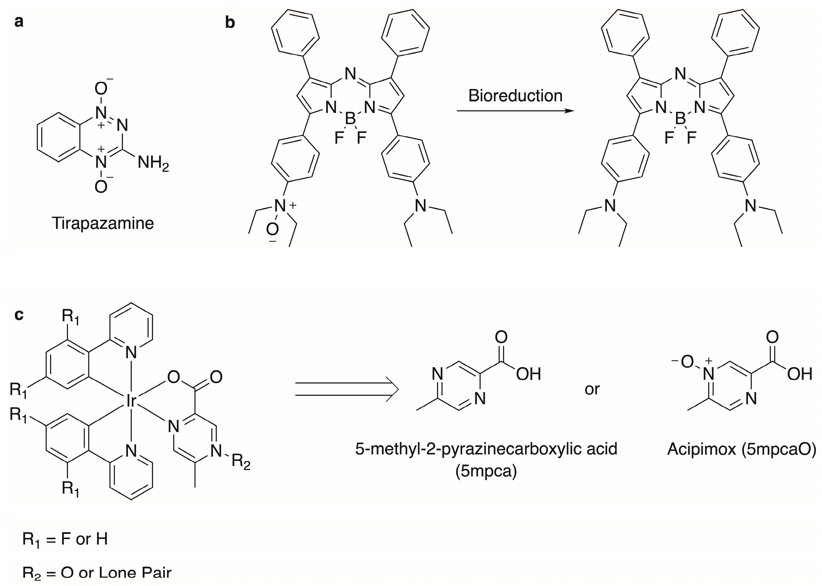 Crystals 14 00281 g001