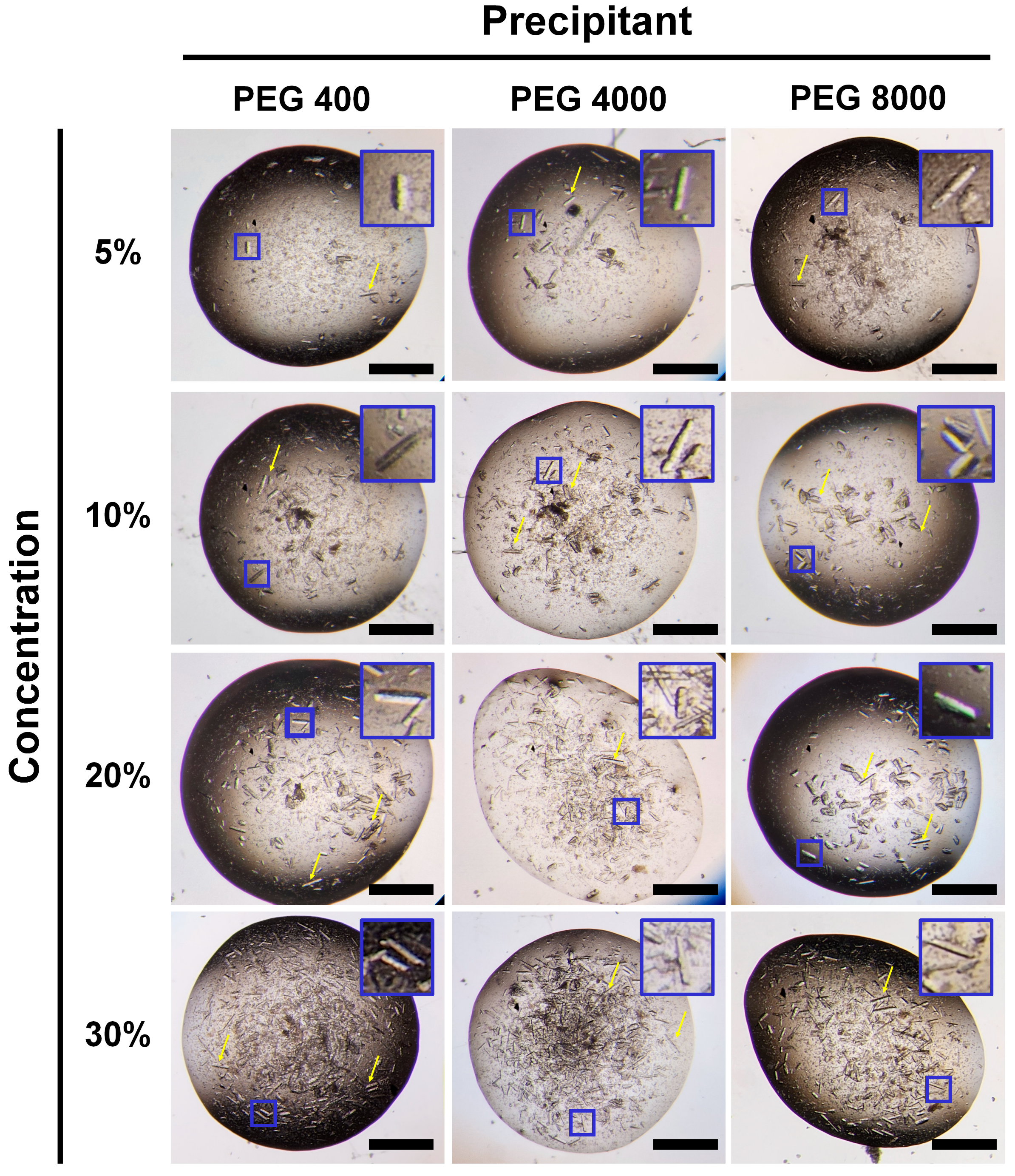 Crystals 14 00289 g002