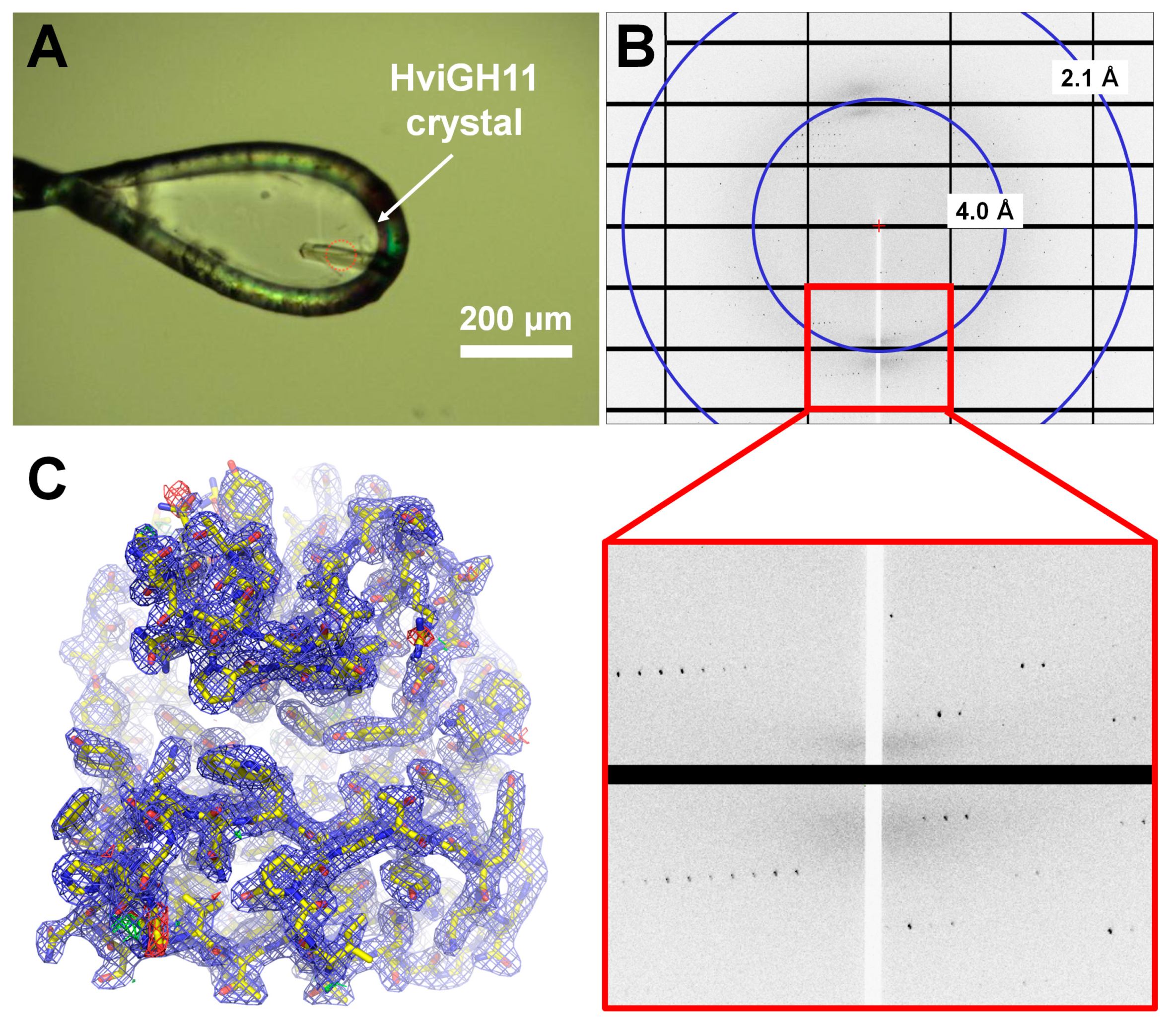 Crystals 14 00289 g003