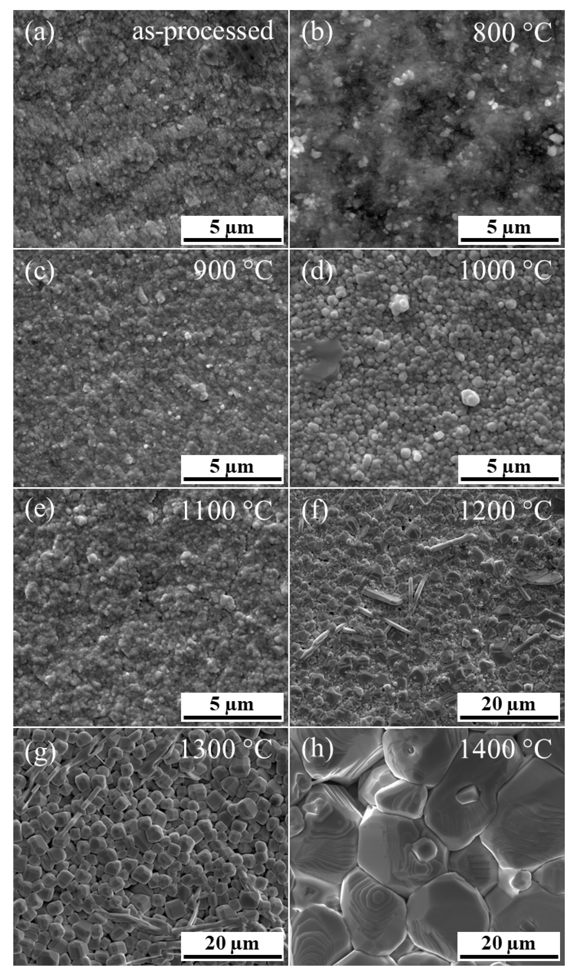 Crystals 14 00296 g004 Crystals 14 00296 g004