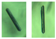 Crystals 14 00298 i004 Crystals 14 00298 i004