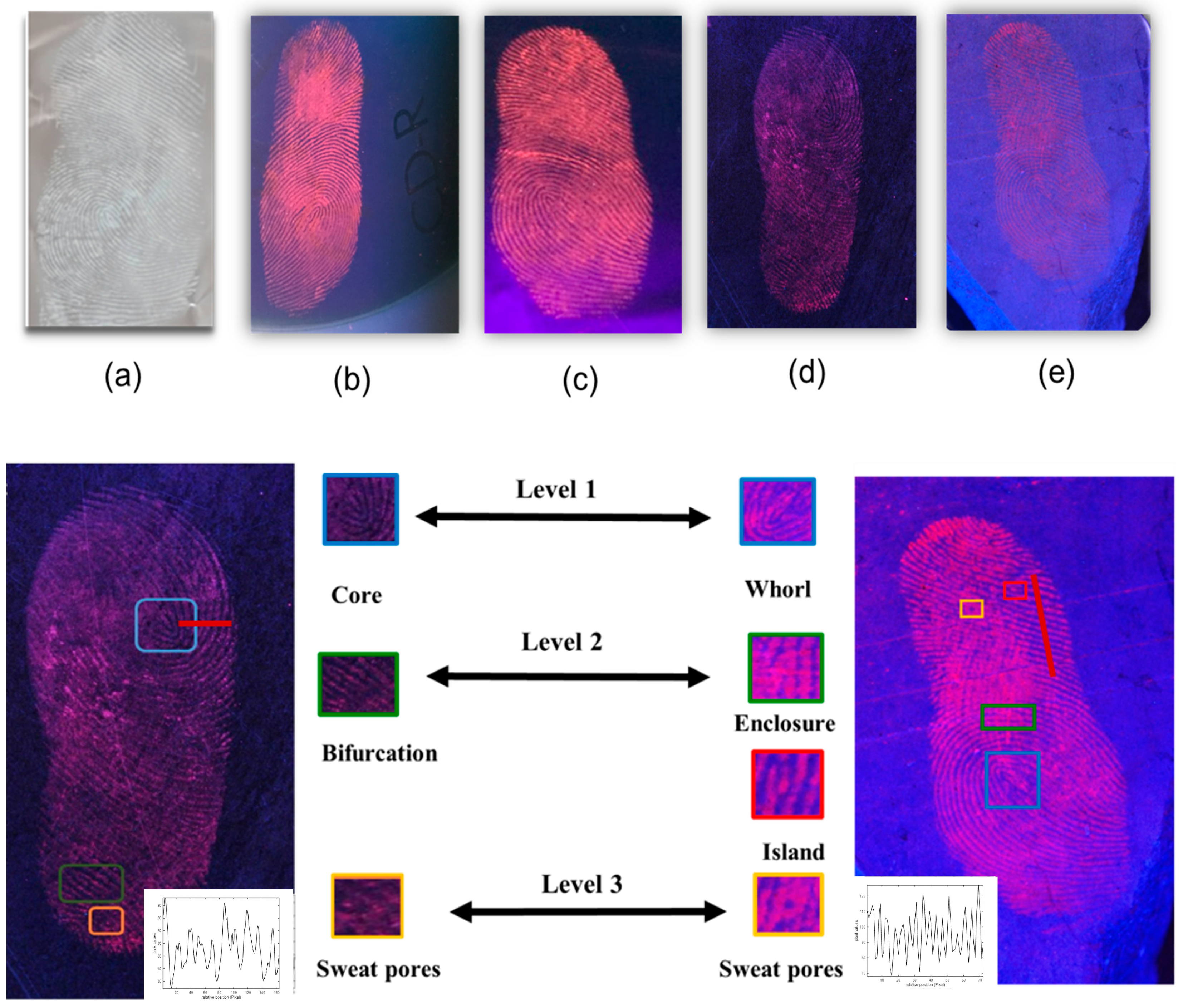 Crystals 14 00300 g008