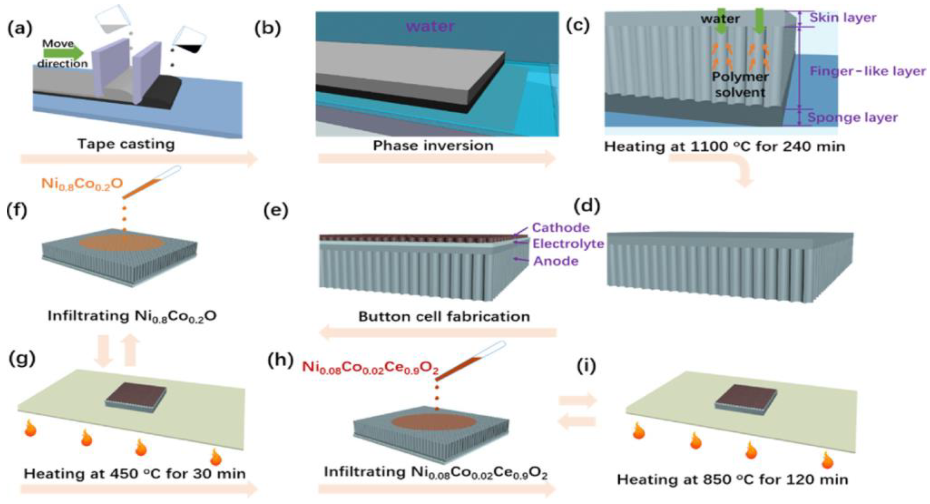 Crystals 14 00306 g010 Crystals 14 00306 g010
