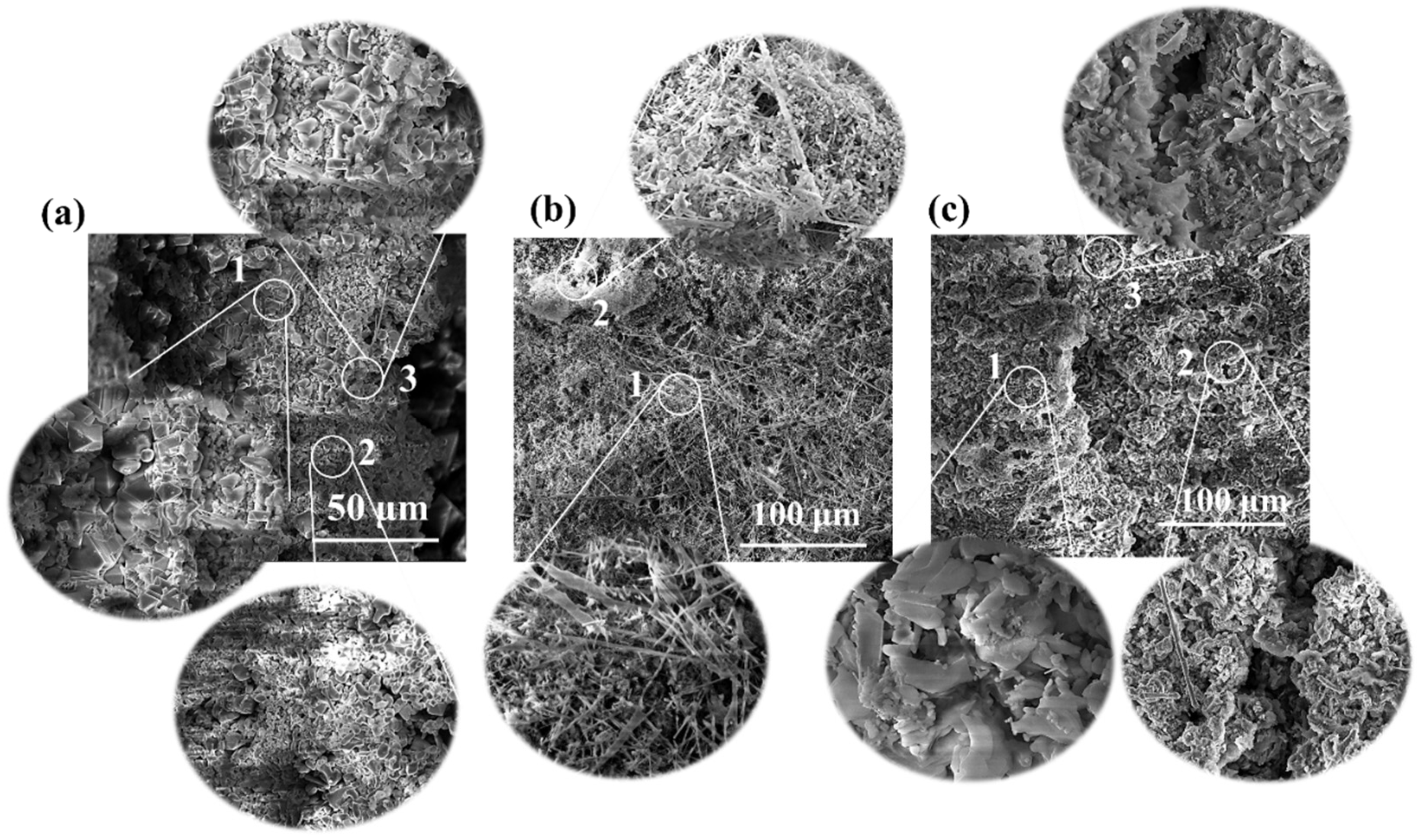 Crystals 14 00307 g002 Crystals 14 00307 g002