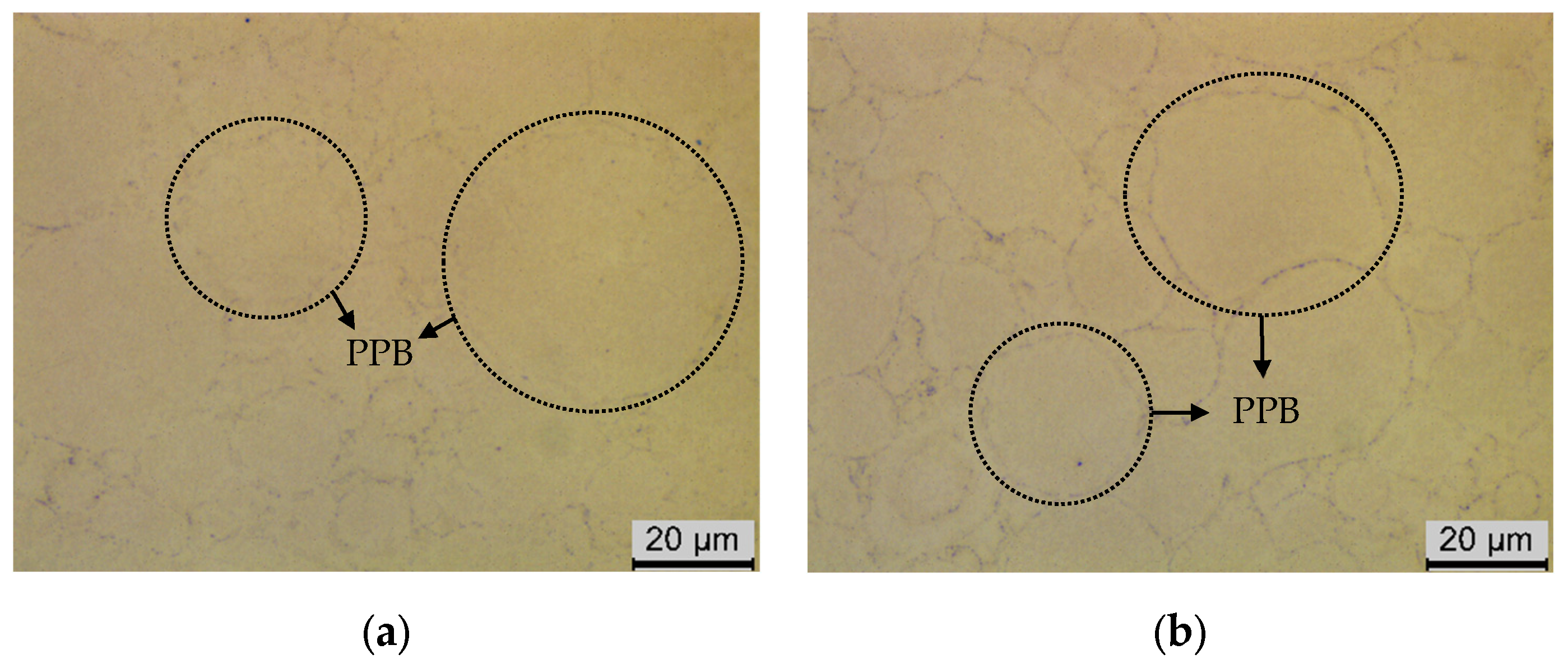 Crystals 14 00358 g003