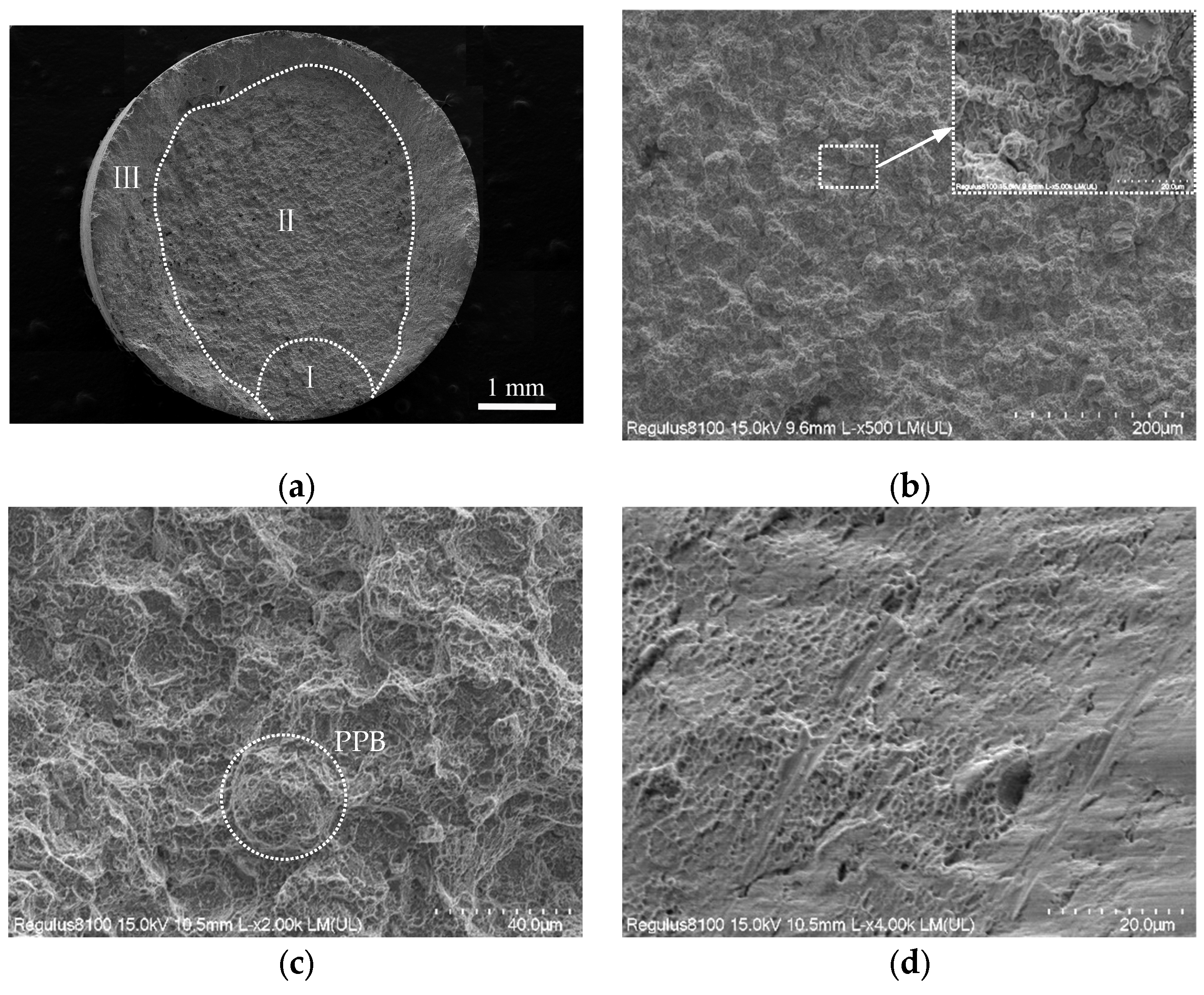 Crystals 14 00358 g012
