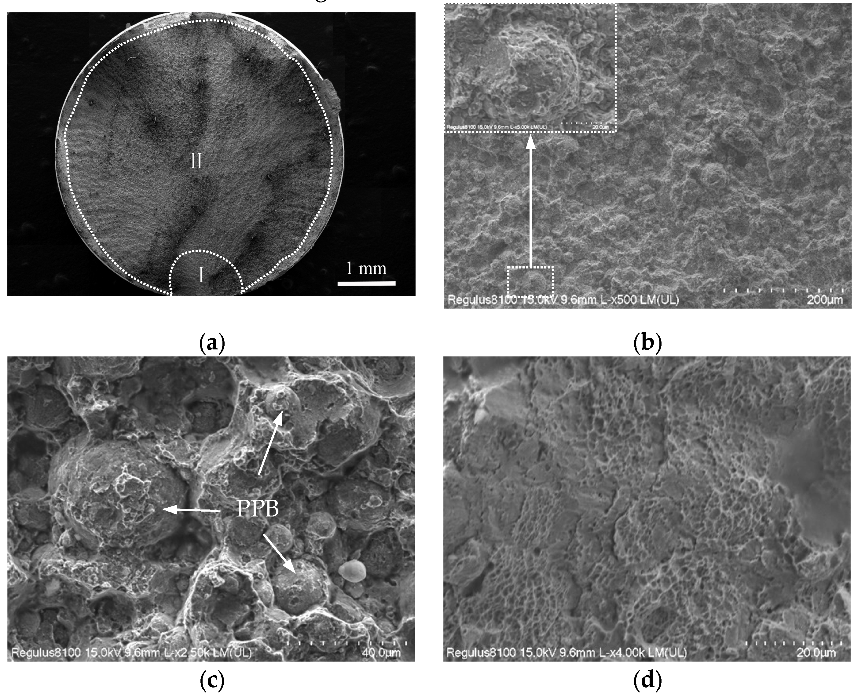 Crystals 14 00358 g013