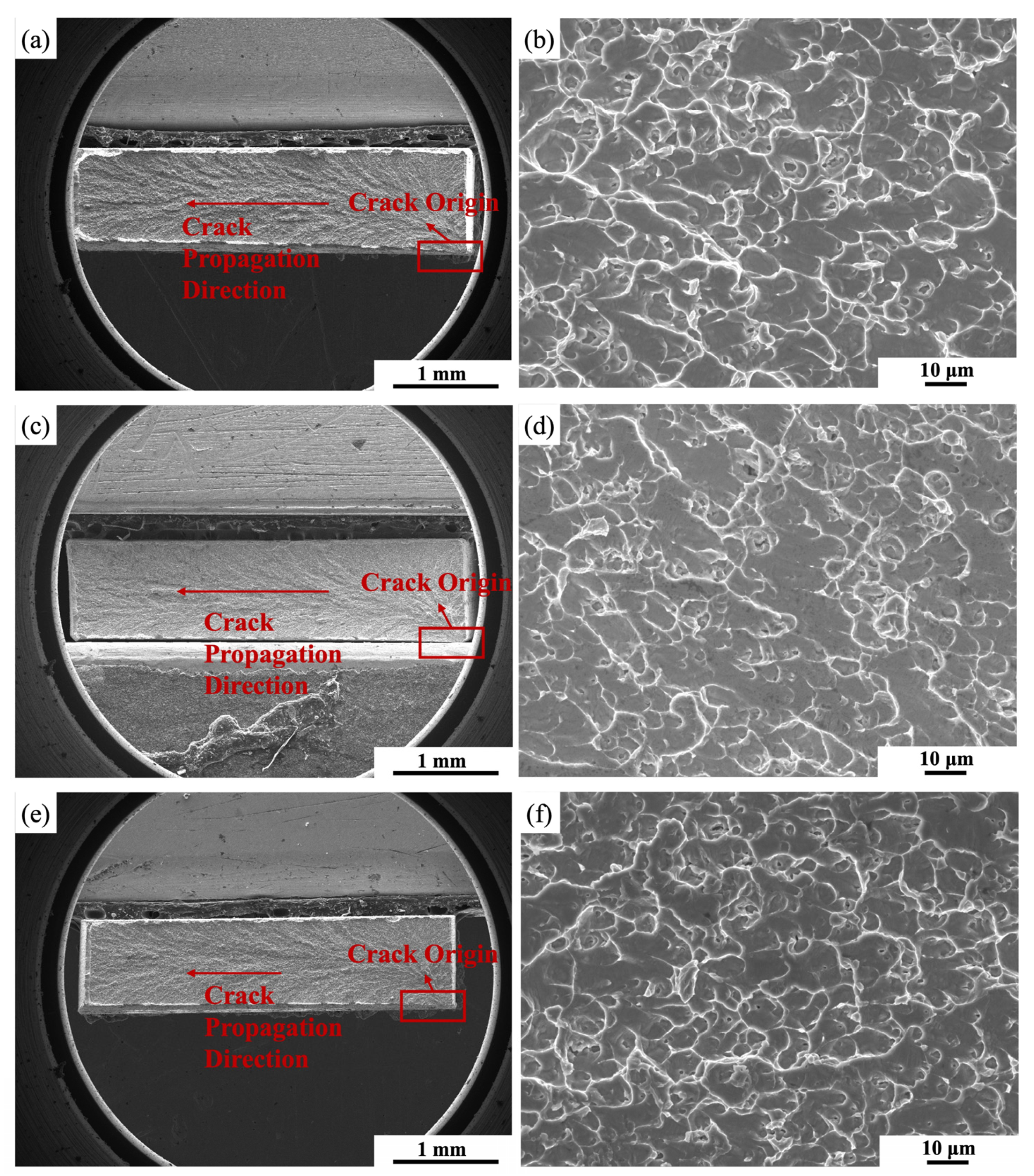 Crystals 14 00360 g010