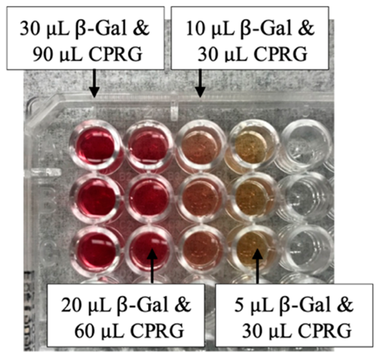 Crystals 14 00386 g004