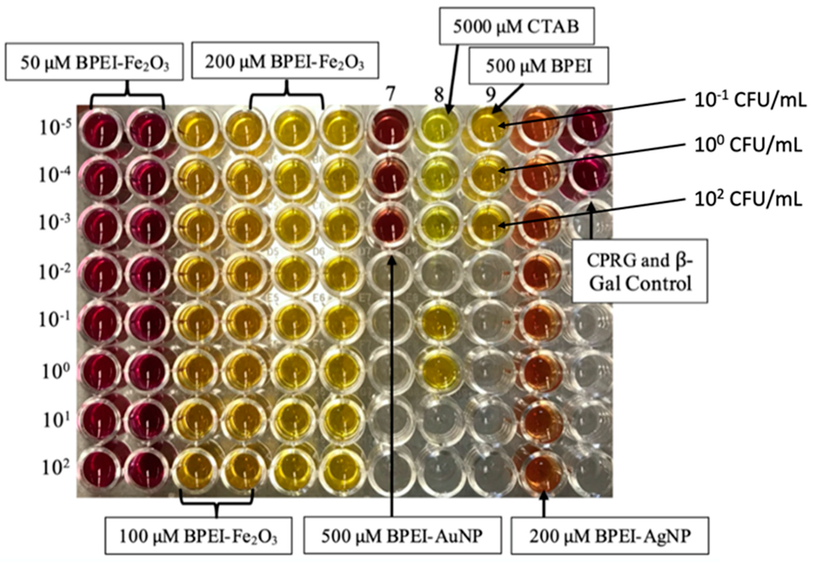 Crystals 14 00386 g006