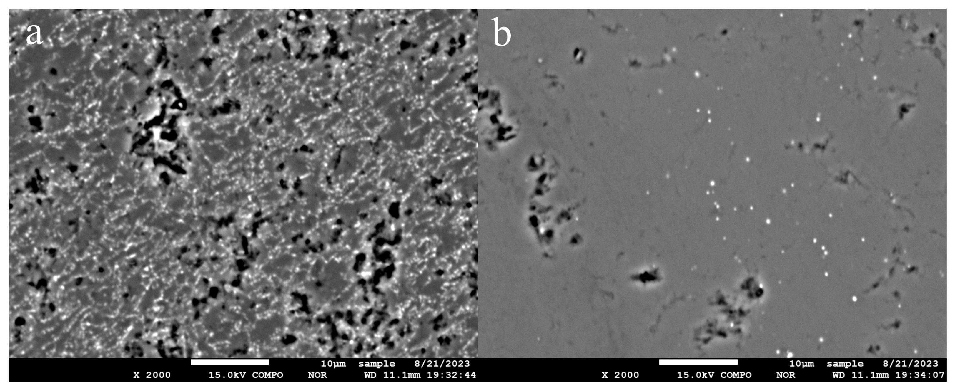 Crystals 14 00388 g018