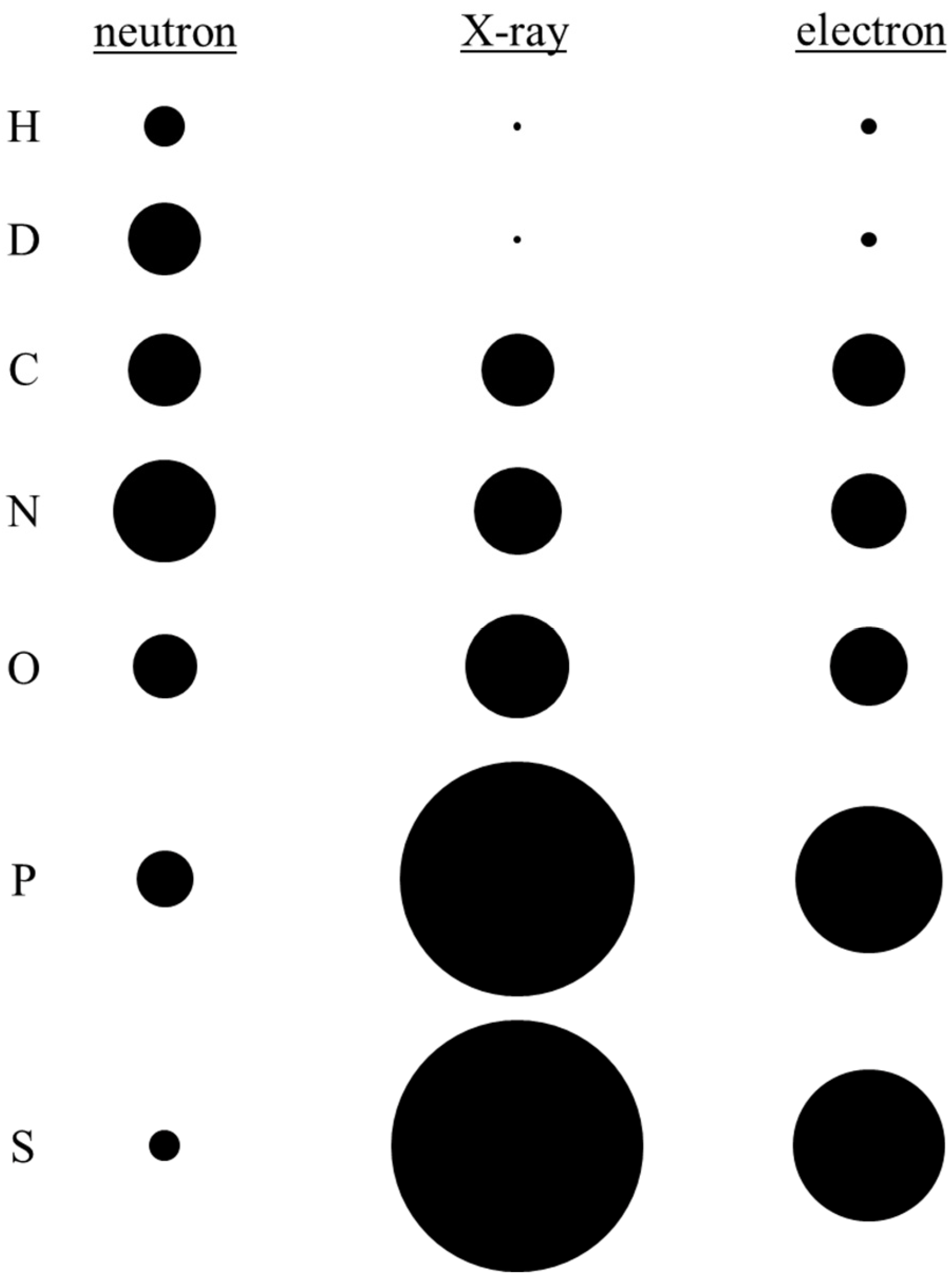 Crystals 14 00433 g002