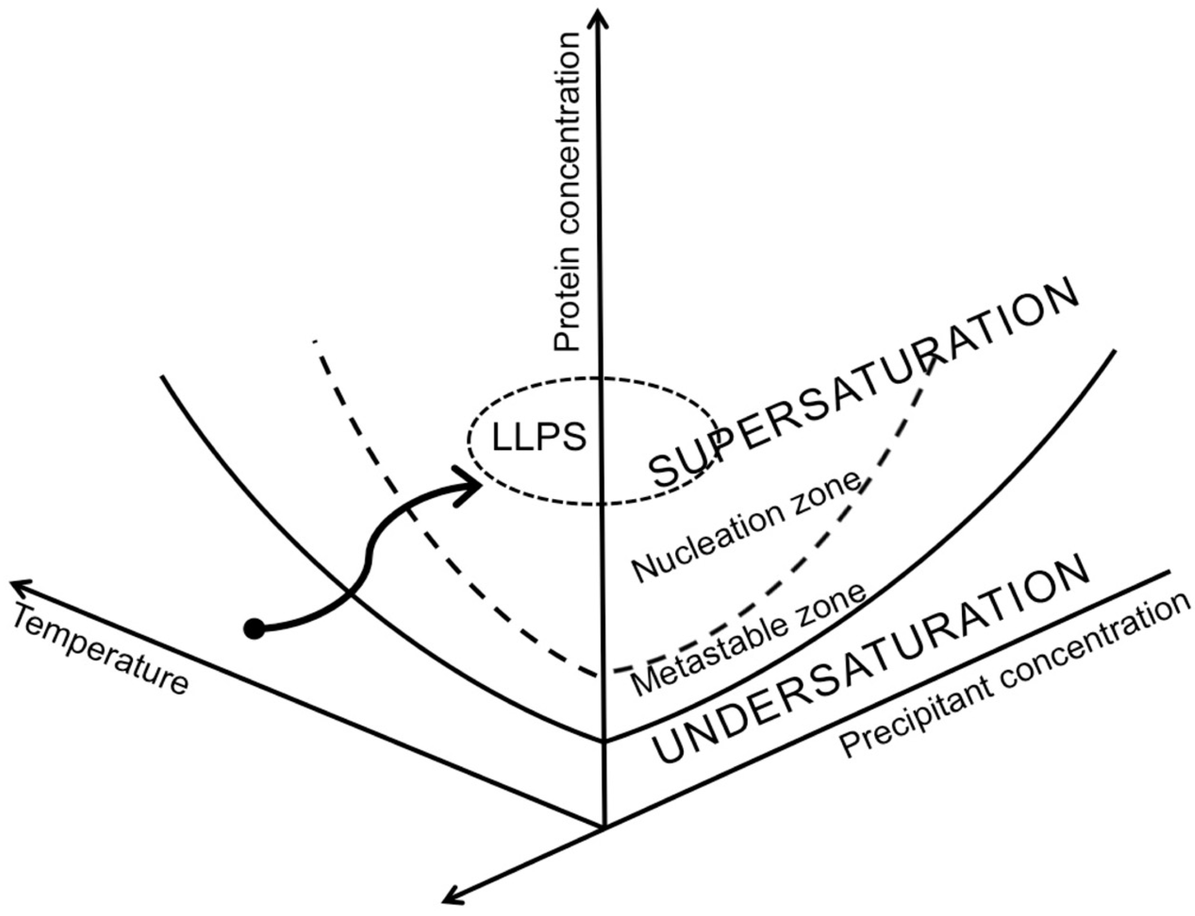 Crystals 14 00433 g005