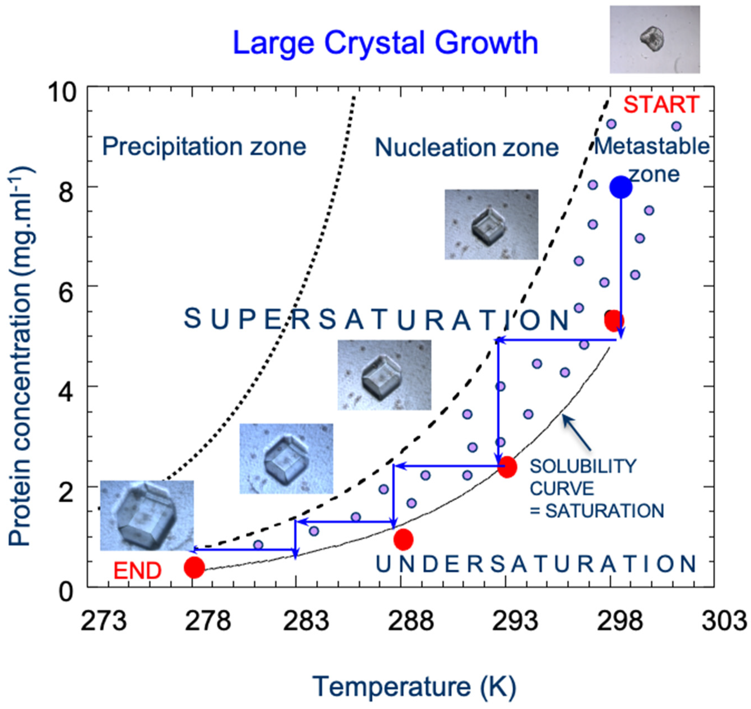 Crystals 14 00433 g007