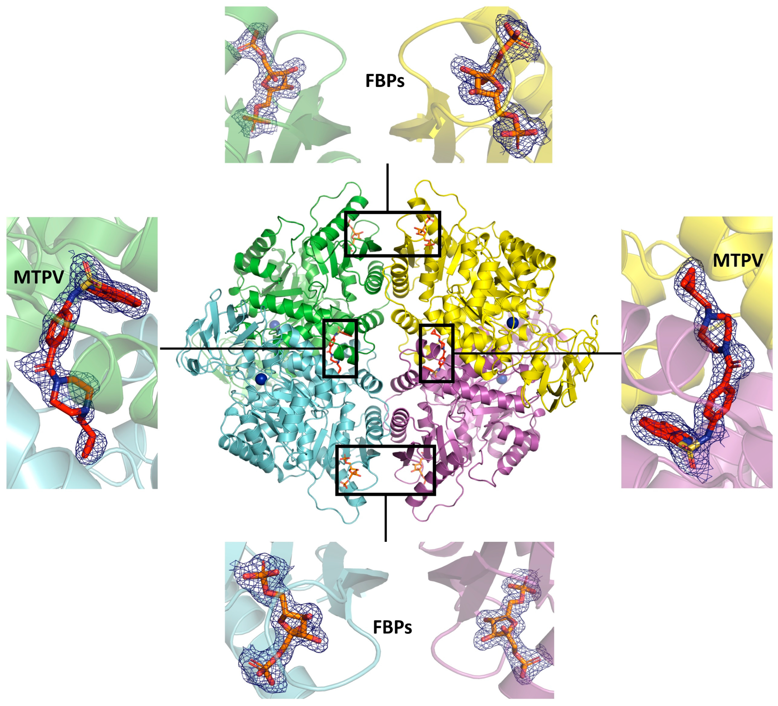 Crystals 14 00441 g002