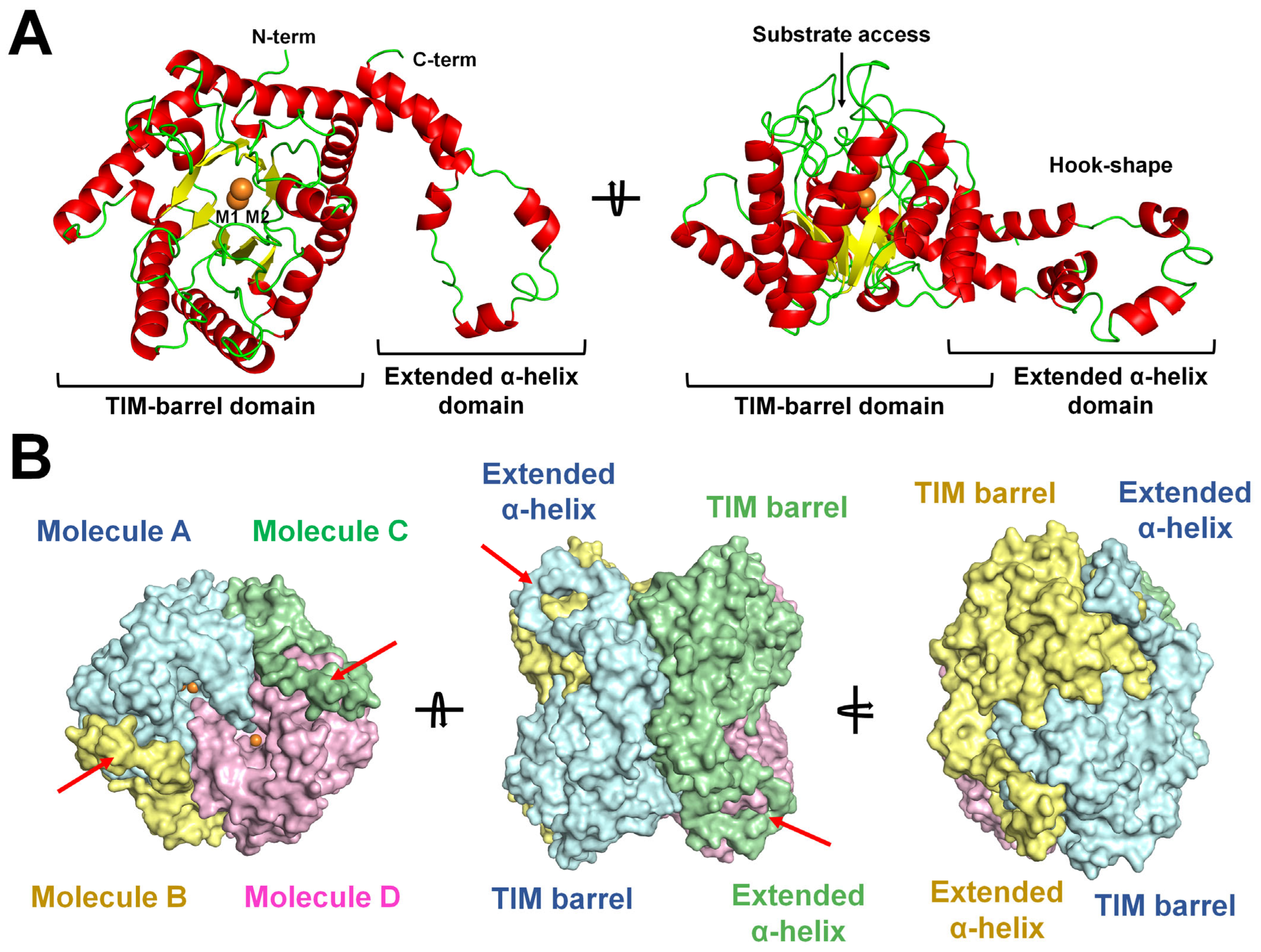 Crystals 14 00446 g002