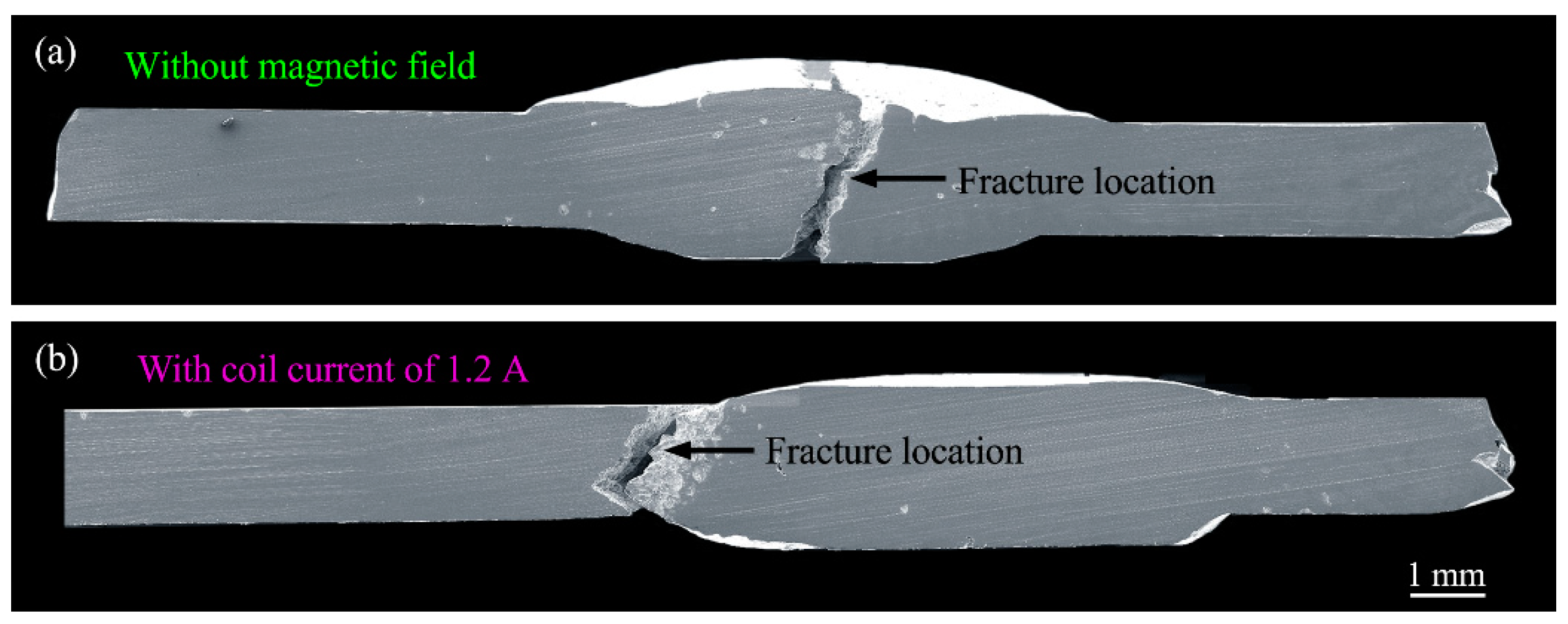 Crystals 14 00449 g008