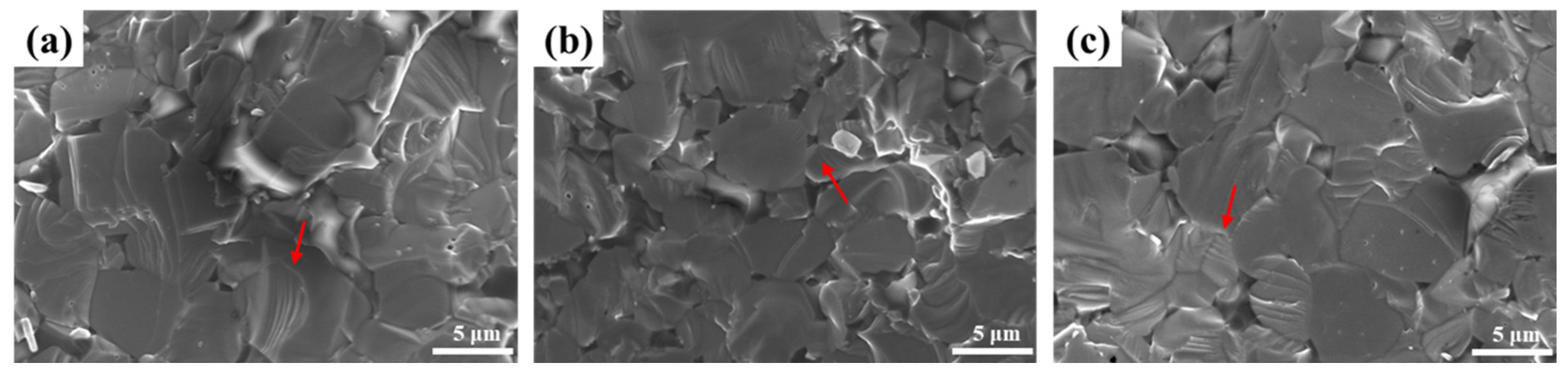 Crystals 14 00452 g015