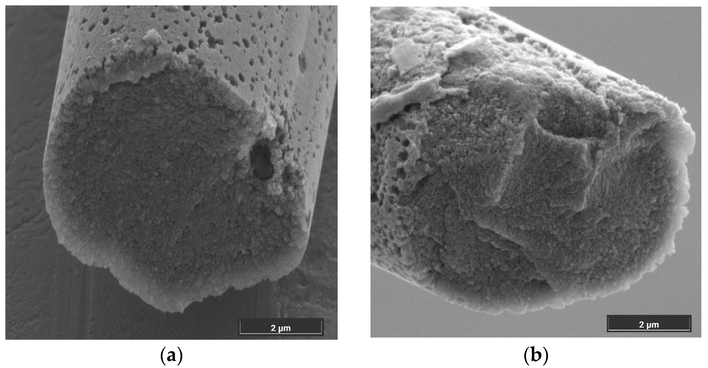 Crystals 14 00457 g002