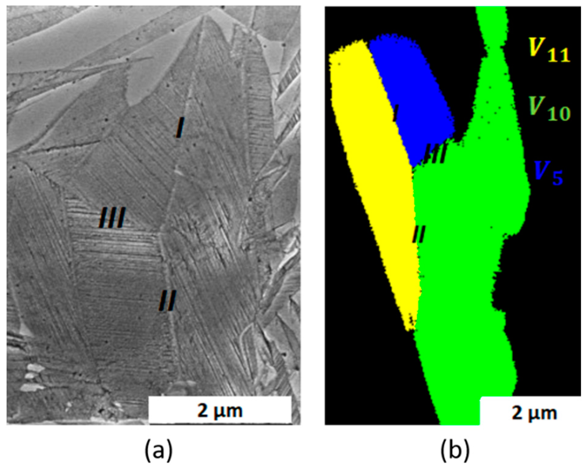 Crystals 14 00461 g007 Crystals 14 00461 g007