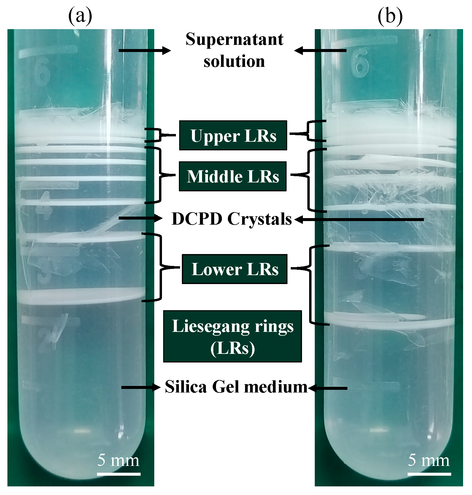 Crystals 14 00463 g001