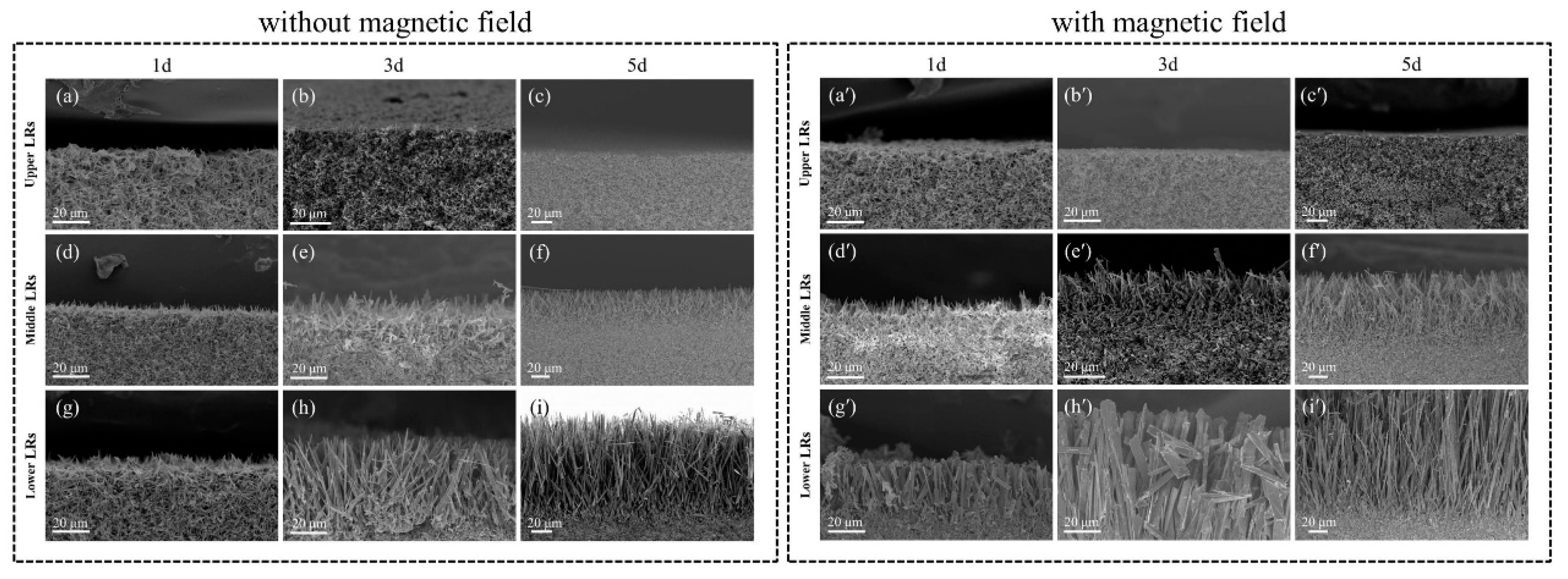 Crystals 14 00463 g003