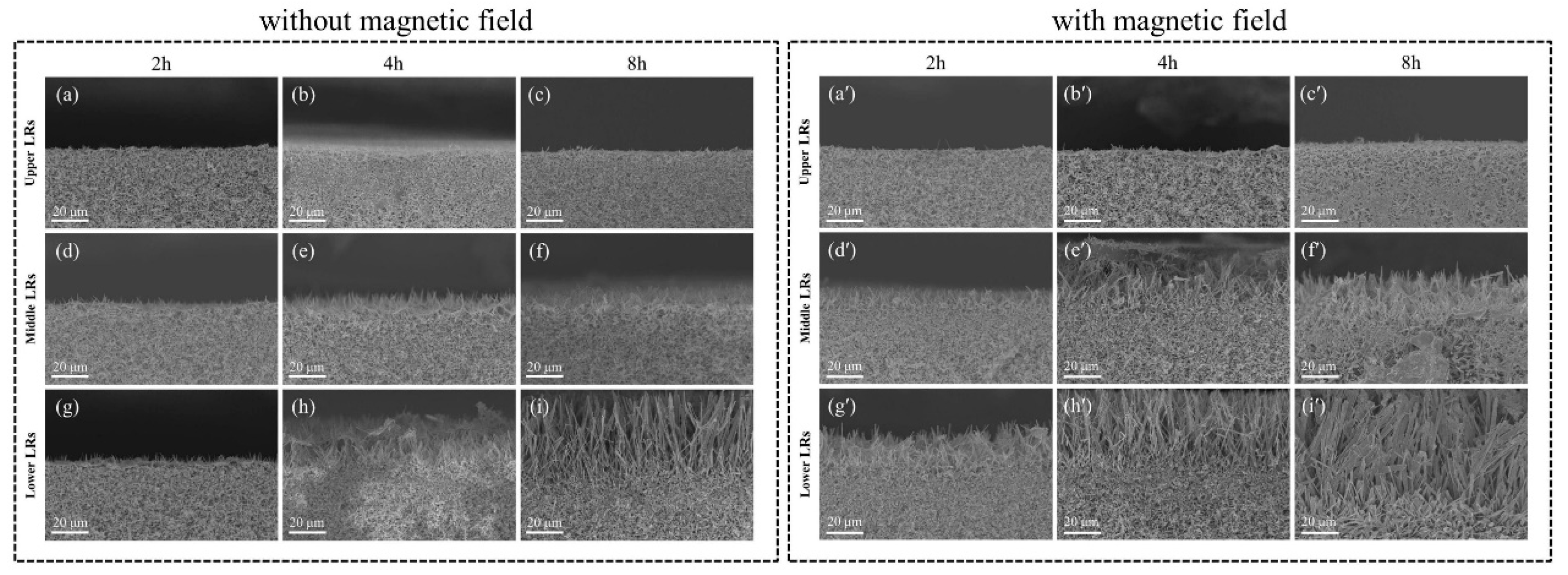 Crystals 14 00463 g004