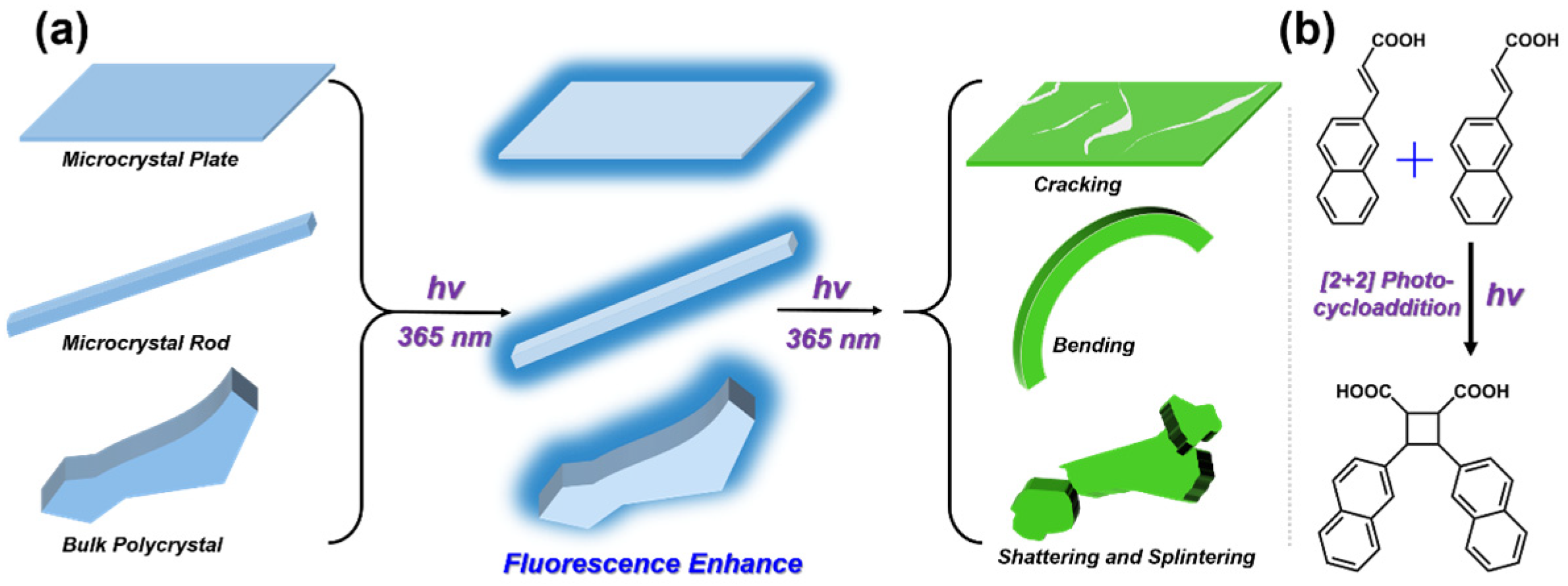 Crystals 14 00492 g001