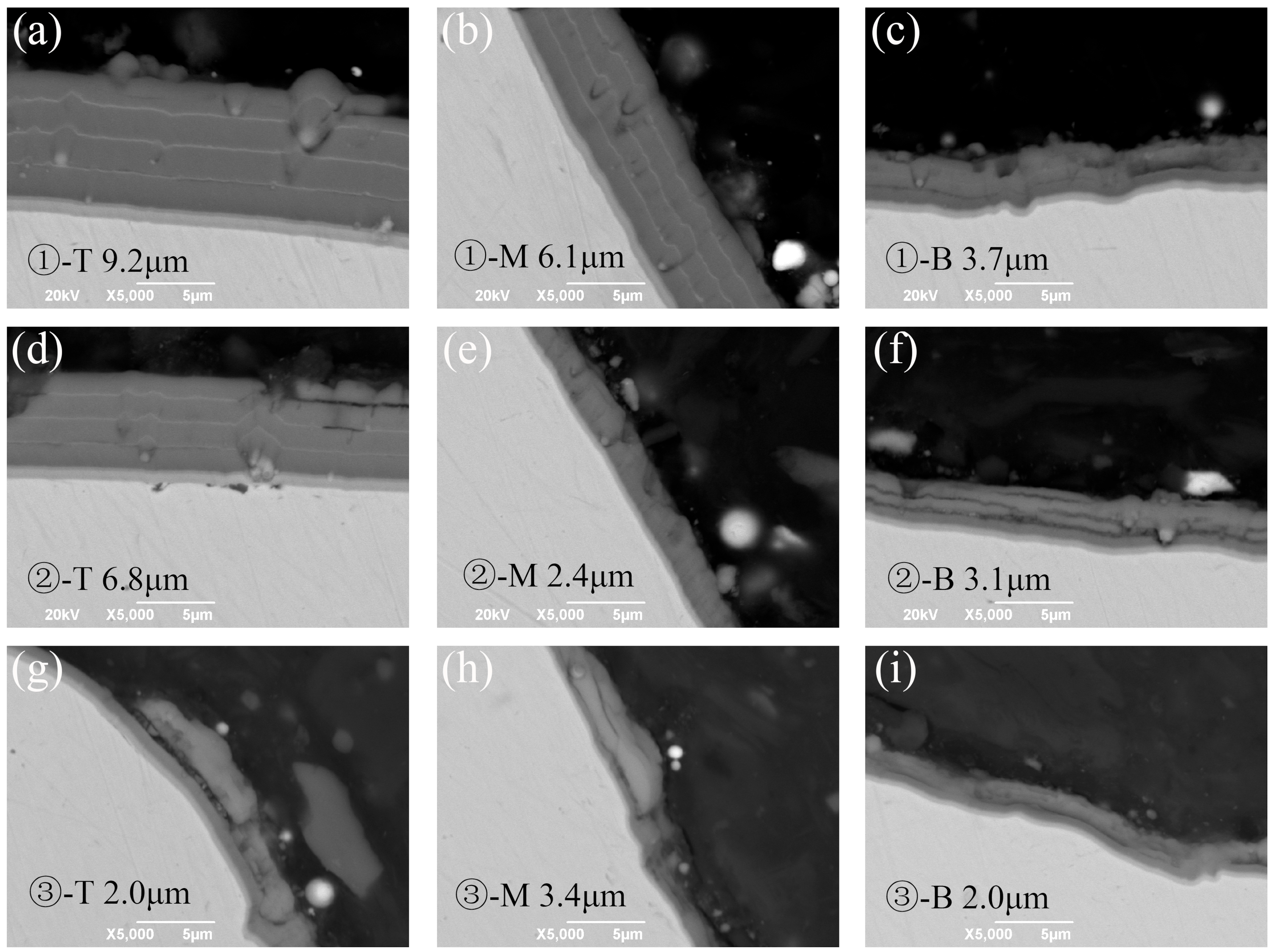 Crystals 14 00509 g010