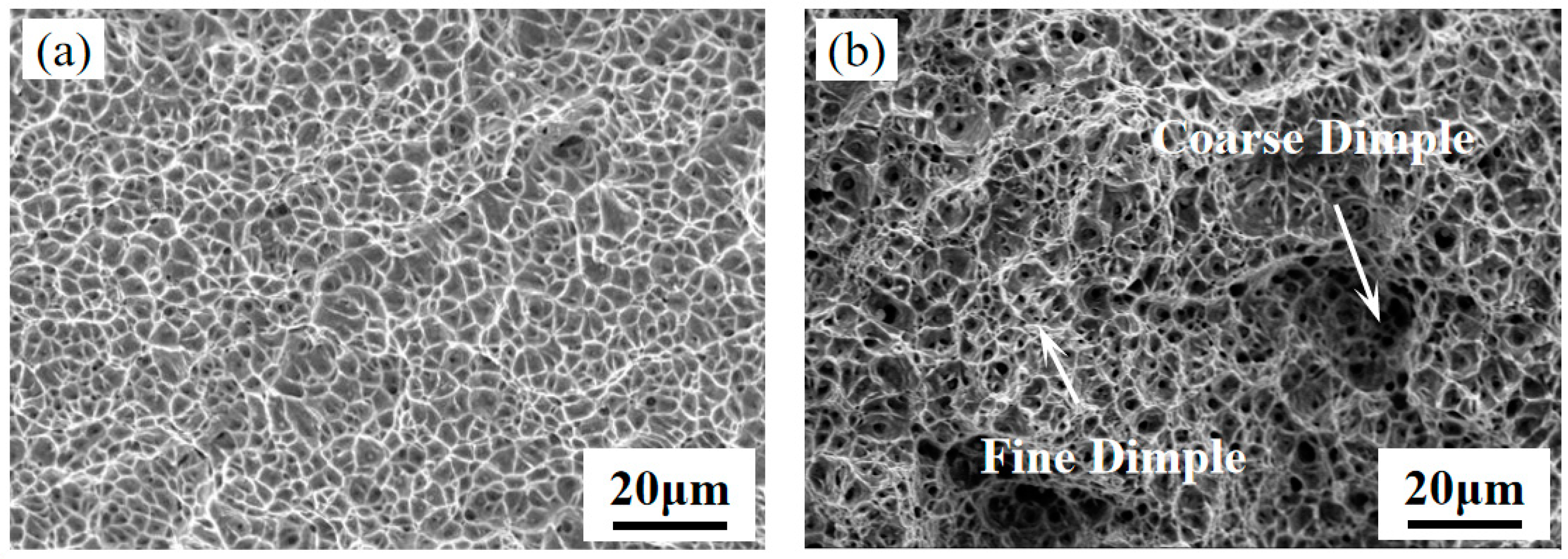 Crystals 14 00528 g006
