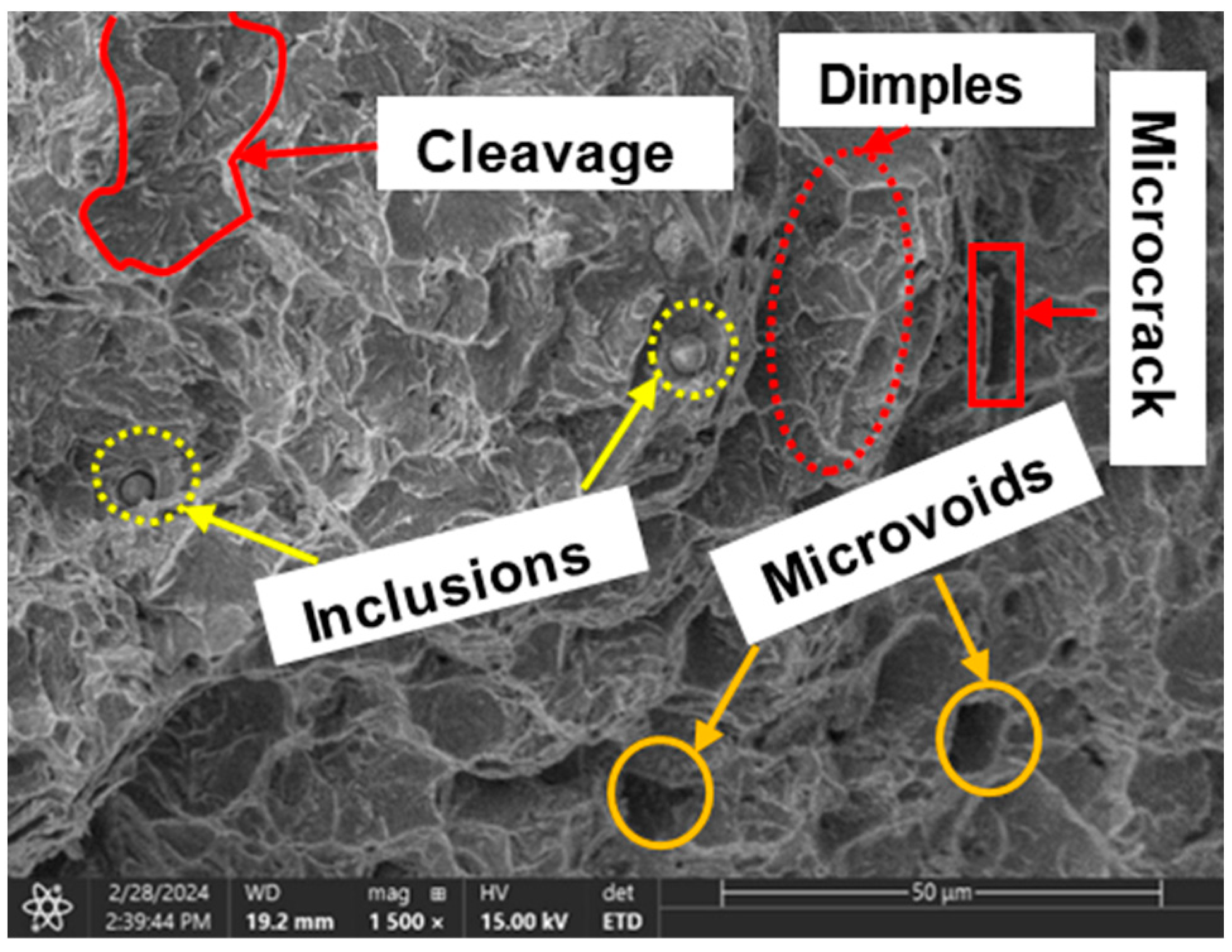 Crystals 14 00529 g016 Crystals 14 00529 g016
