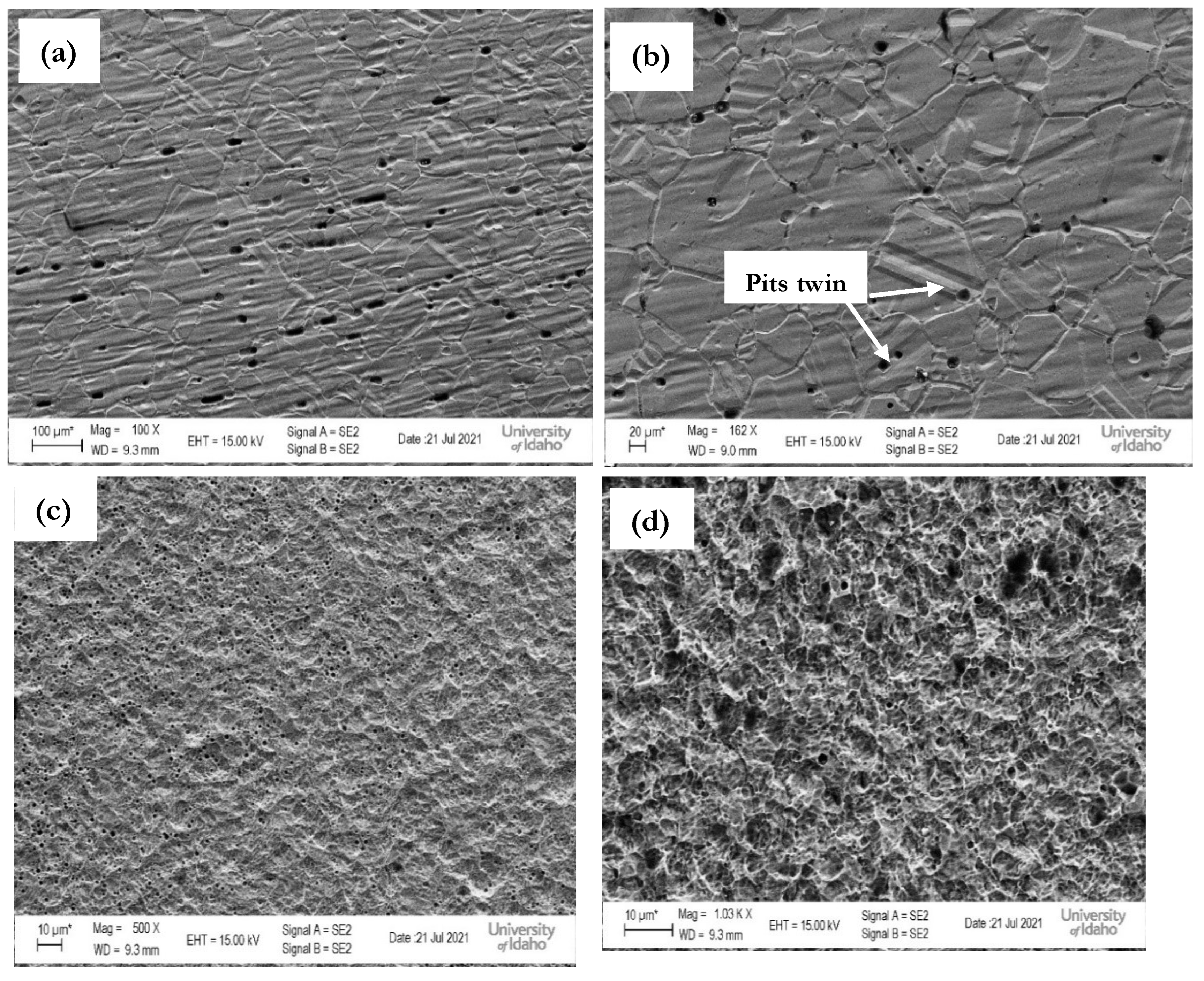 Crystals 14 00556 g009