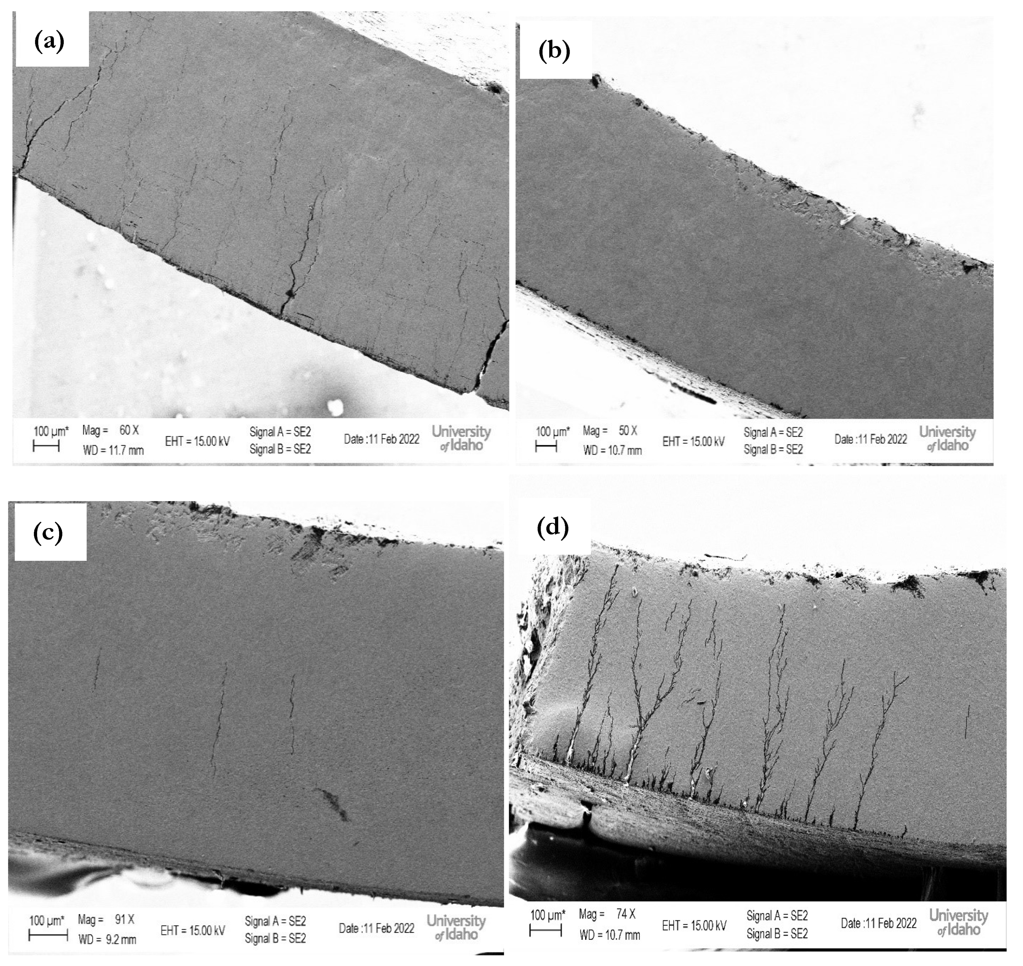 Crystals 14 00556 g012