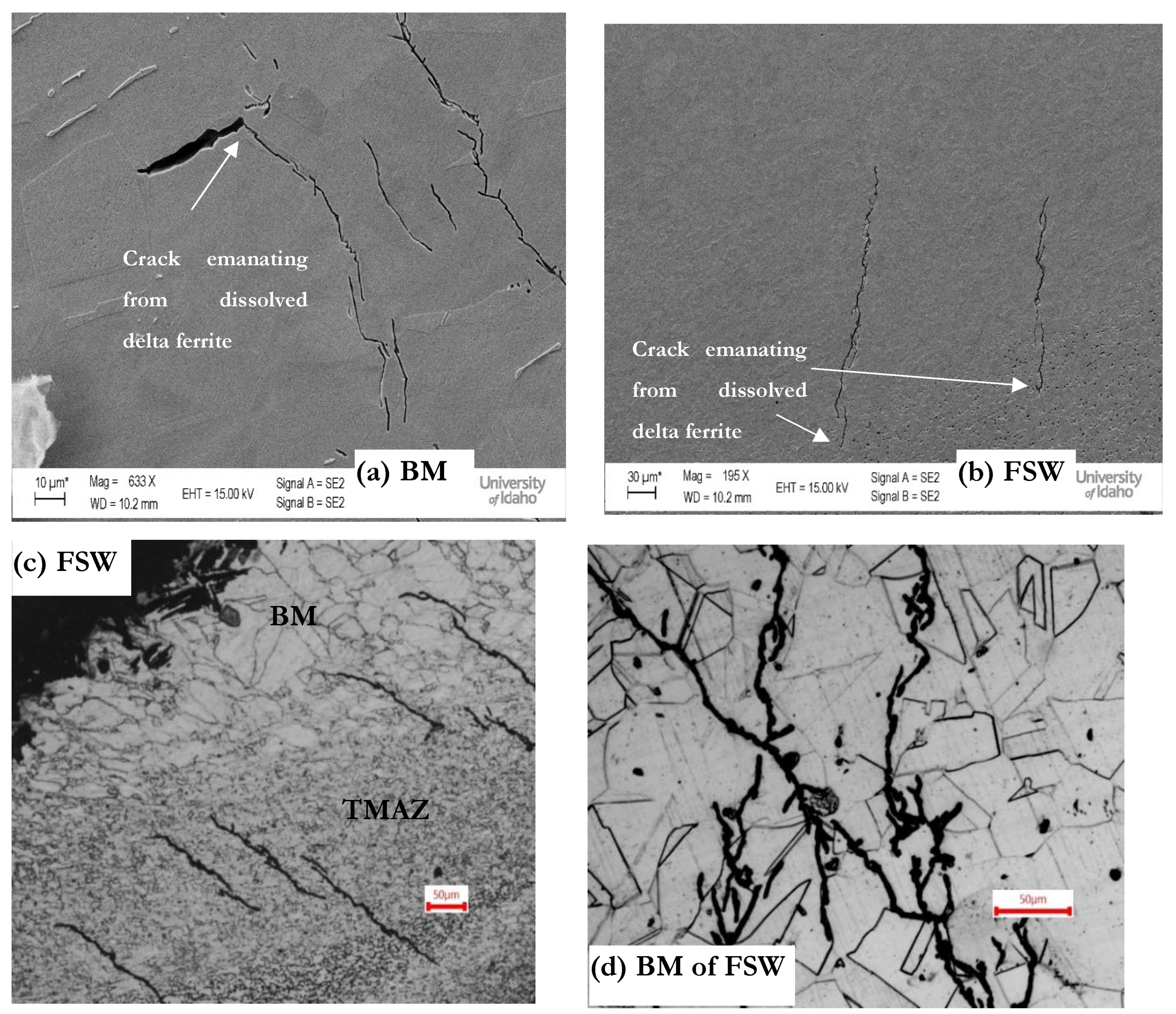 Crystals 14 00556 g013