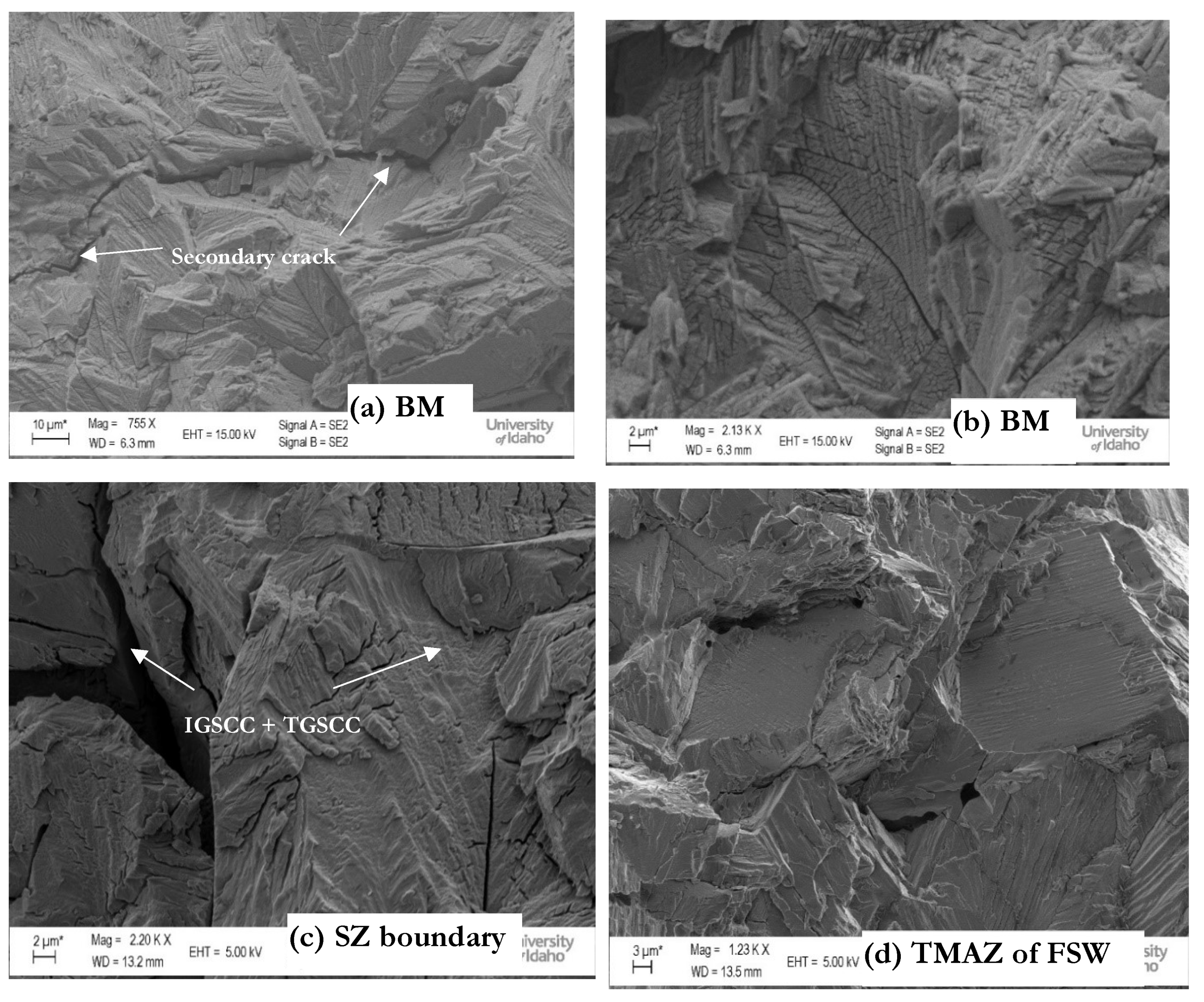 Crystals 14 00556 g014