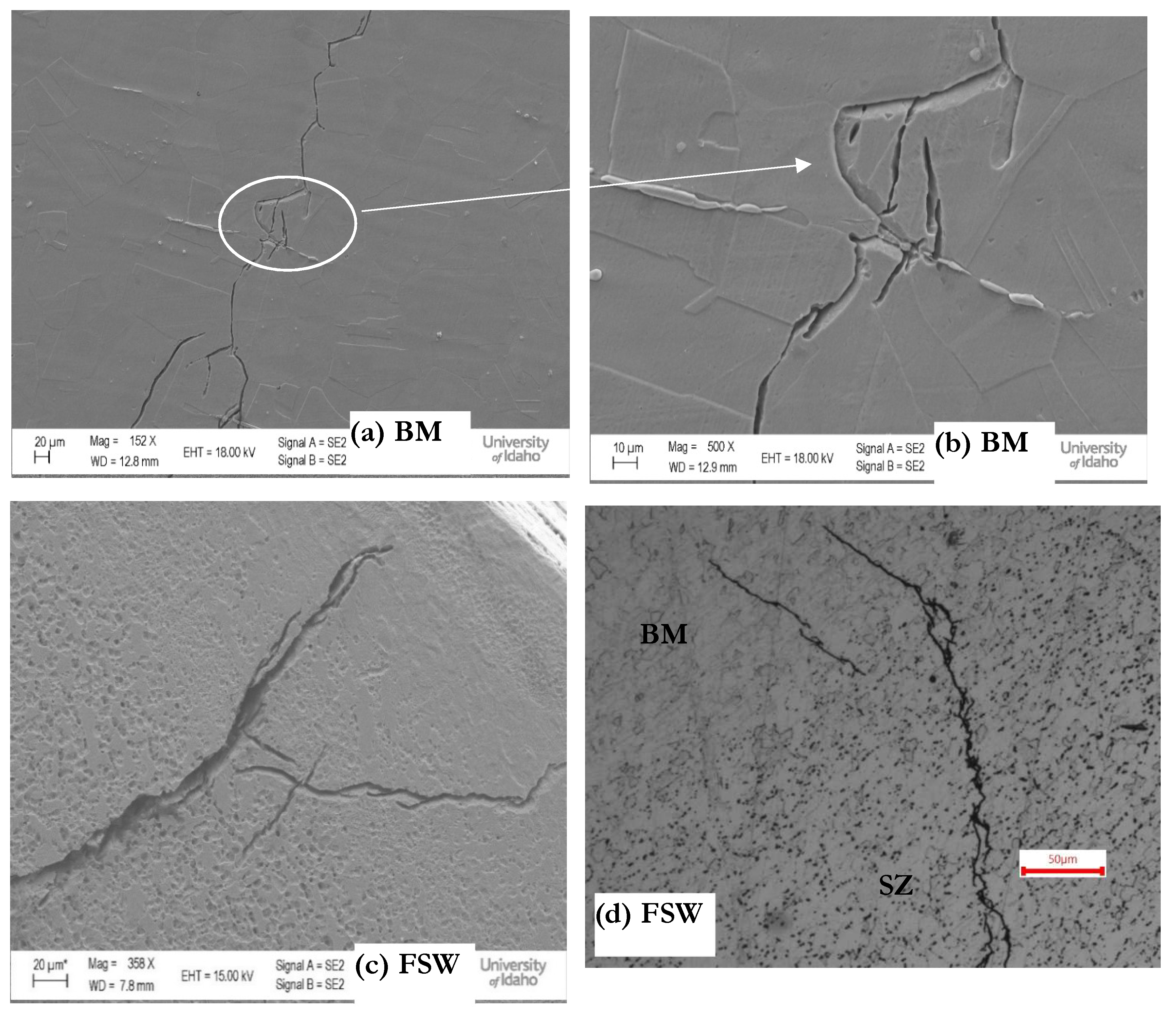 Crystals 14 00556 g015