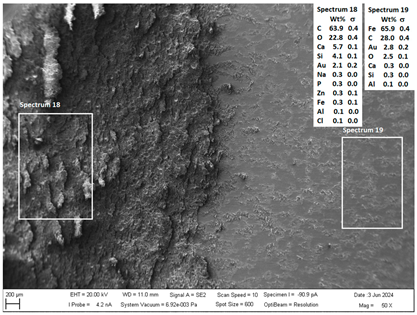 Crystals 14 00558 i007