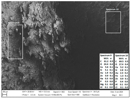 Crystals 14 00558 i012