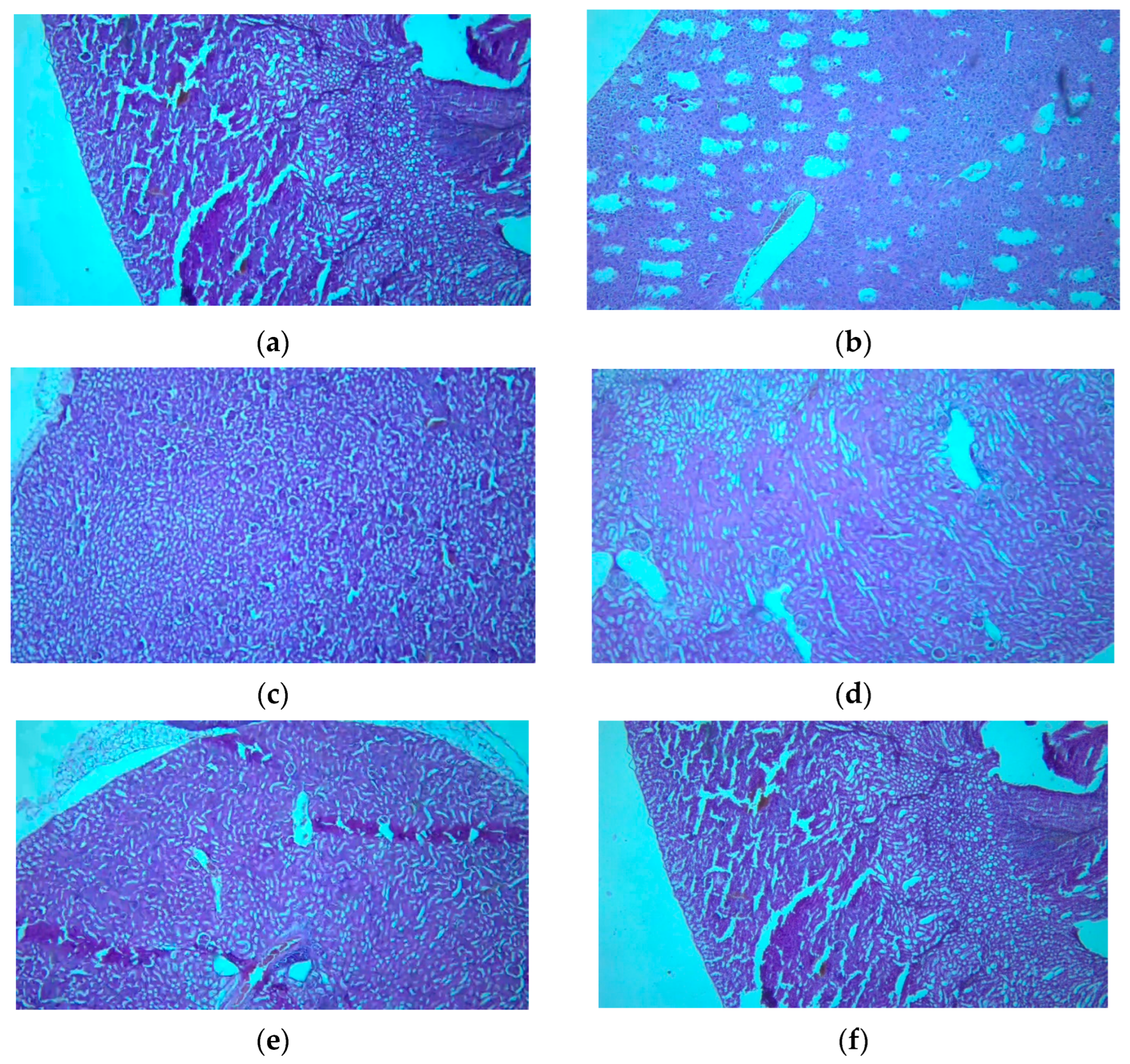 Crystals 14 00560 g011
