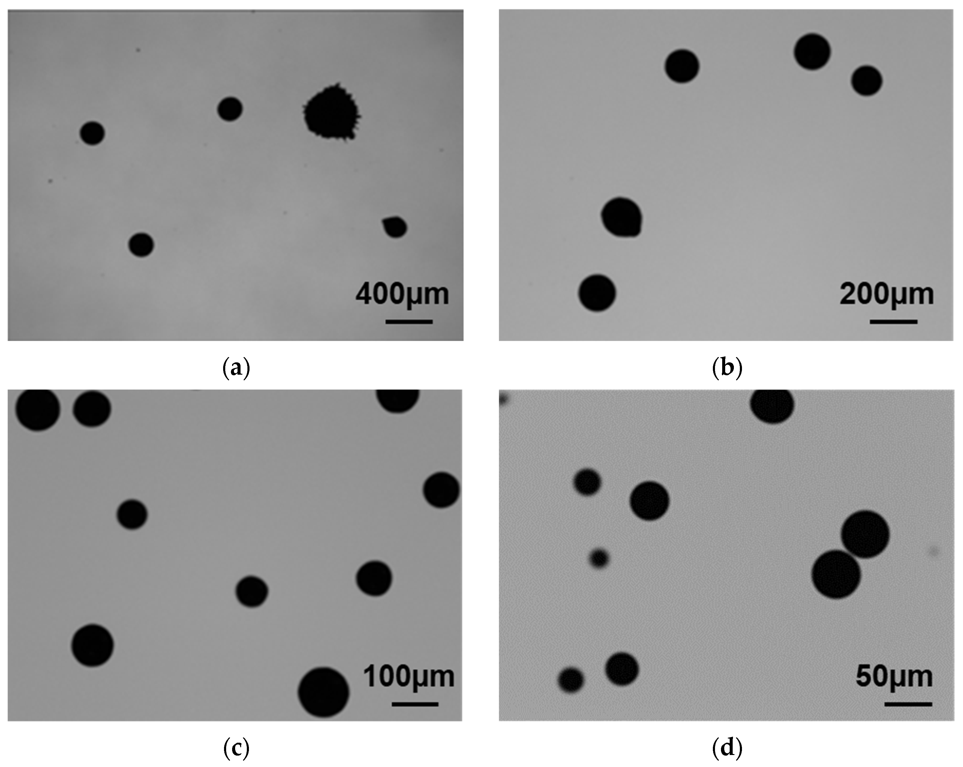 Crystals 14 00562 g010