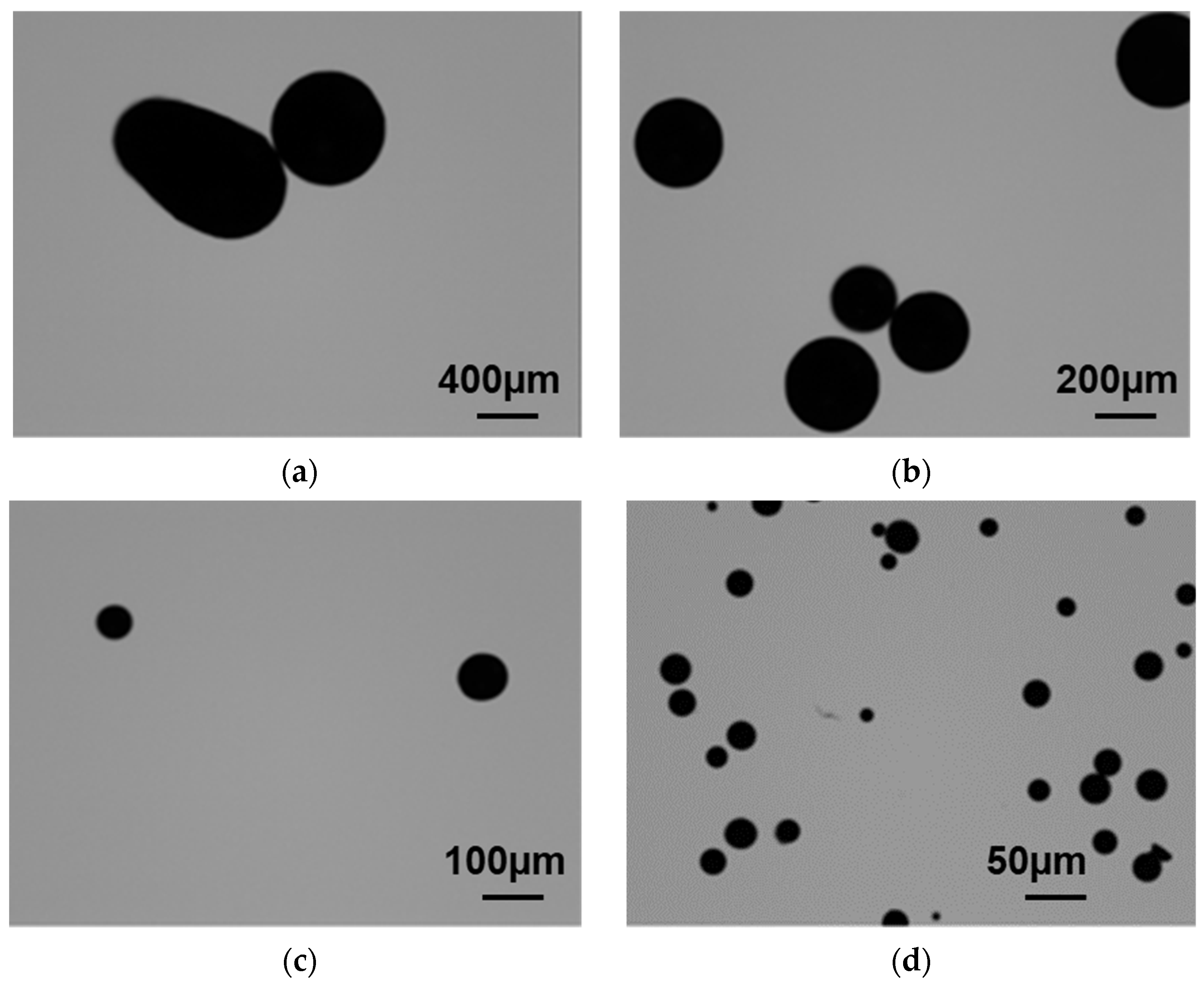 Crystals 14 00562 g014