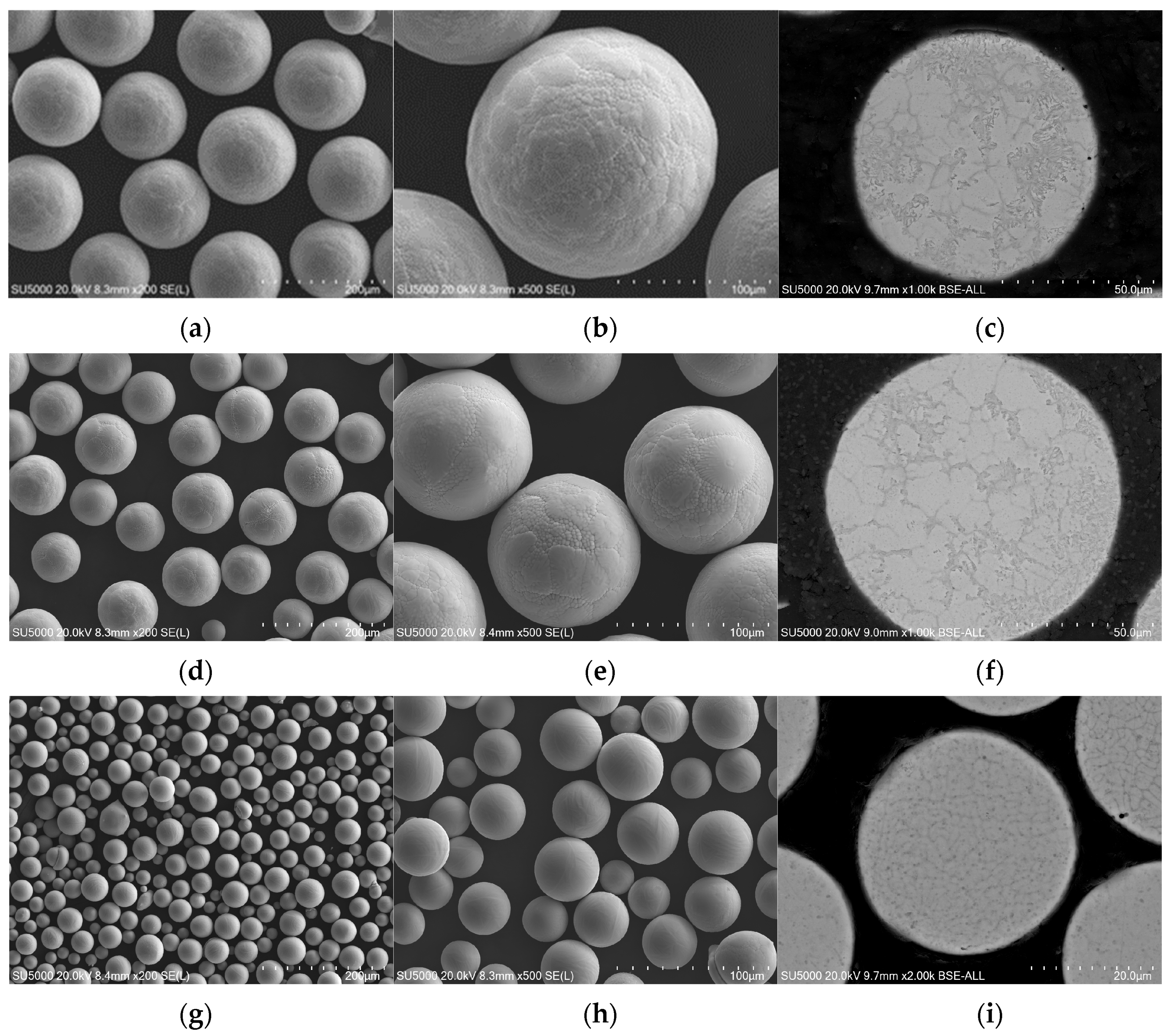 Crystals 14 00562 g021